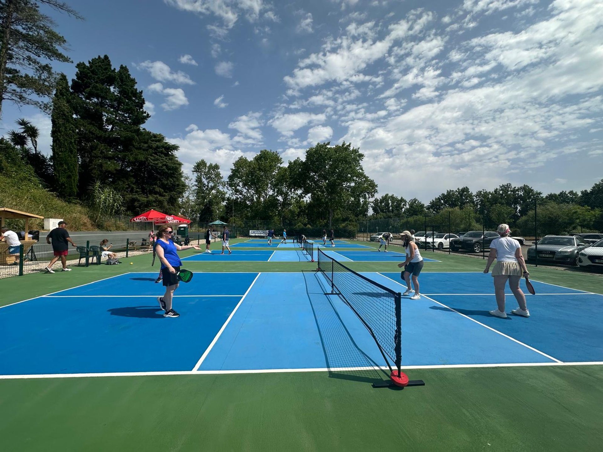Pickleball player holds a ball with the net in view.