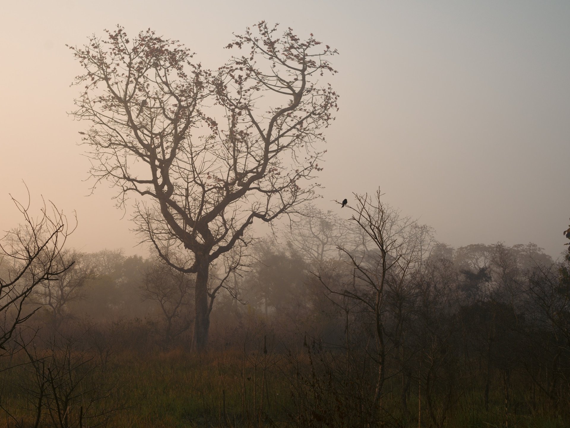 black and brown leather padded tub sofa