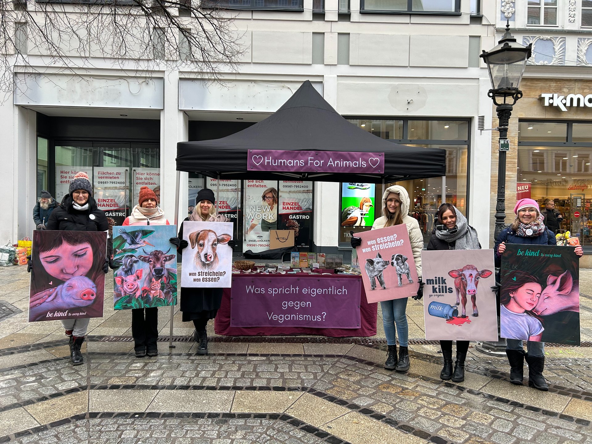 a herd of cows standing on top of a lush green field