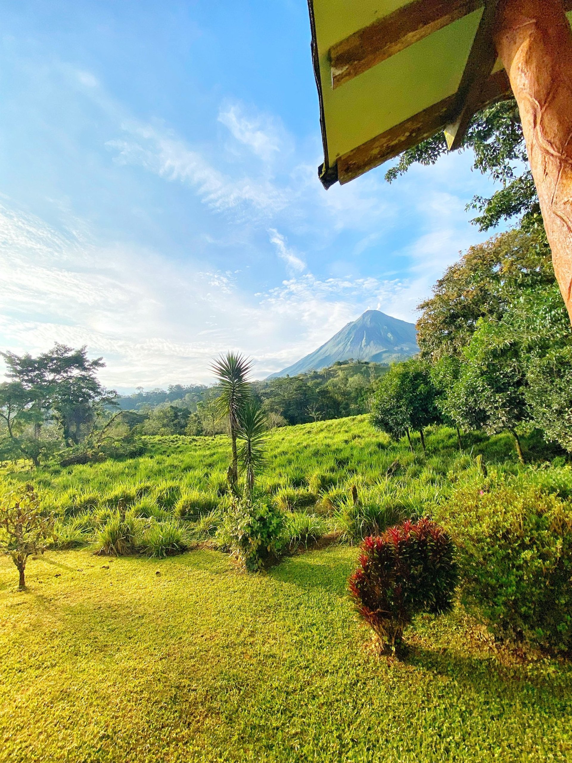 people on beach during daytime