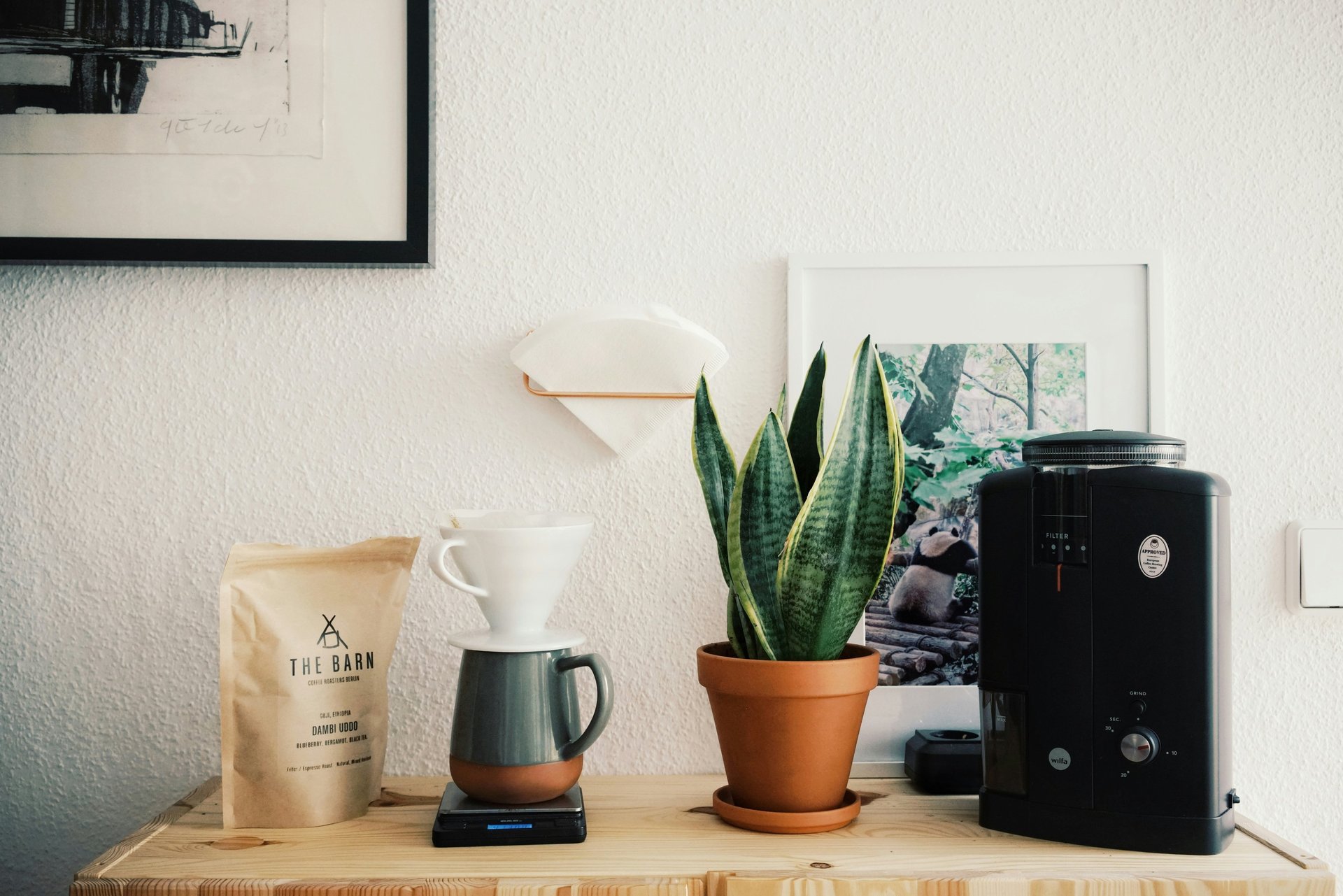 cup of coffee surrounded by beans