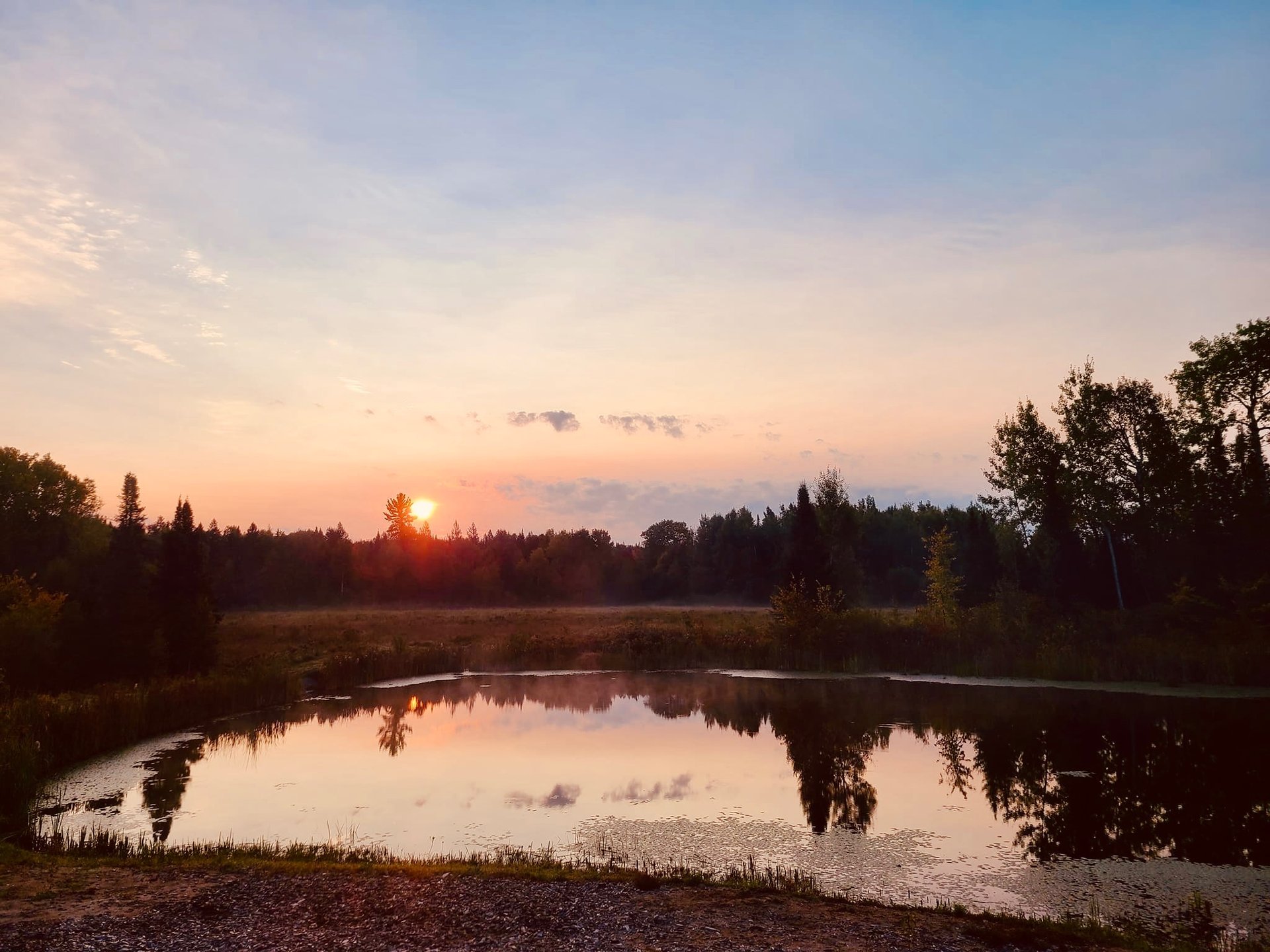 an abstract photo of a curved building with a blue sky in the background