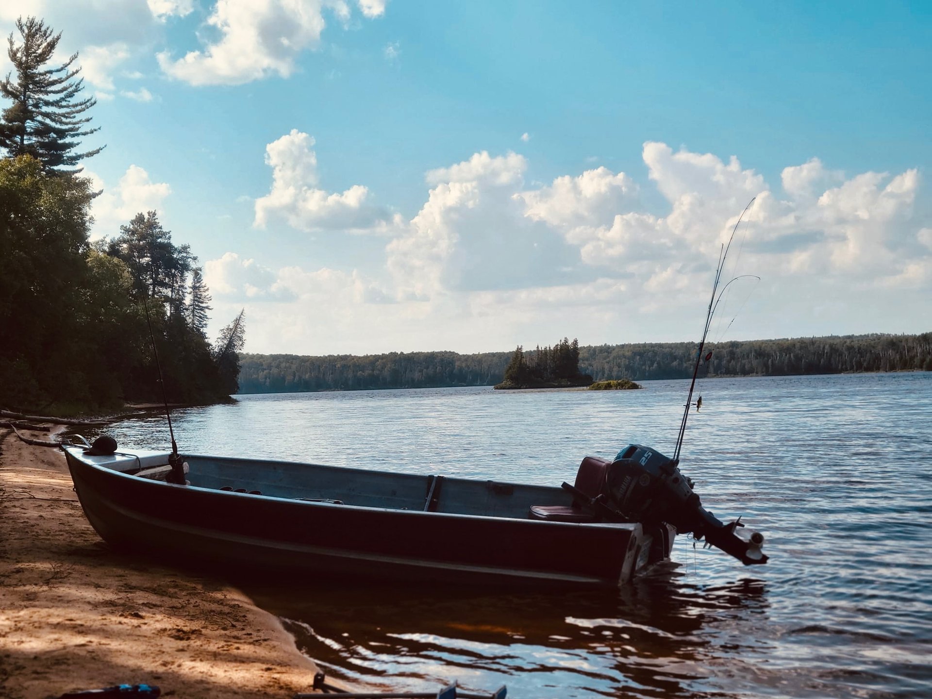 black and white bed linen