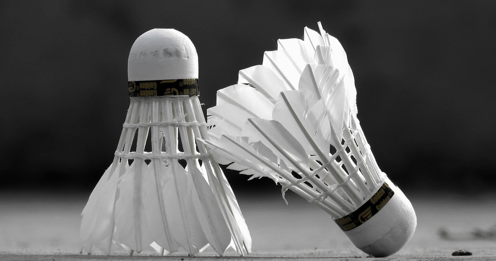 white bird figurine on white sand