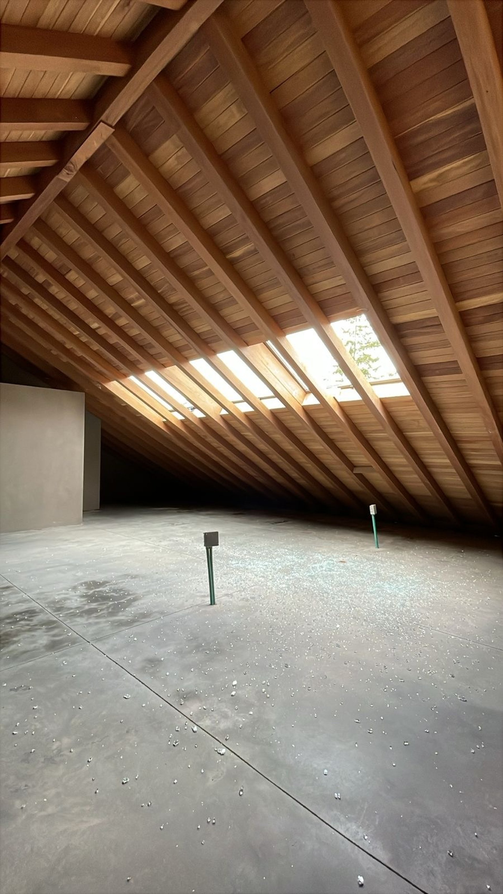 necesito mnas nitidez