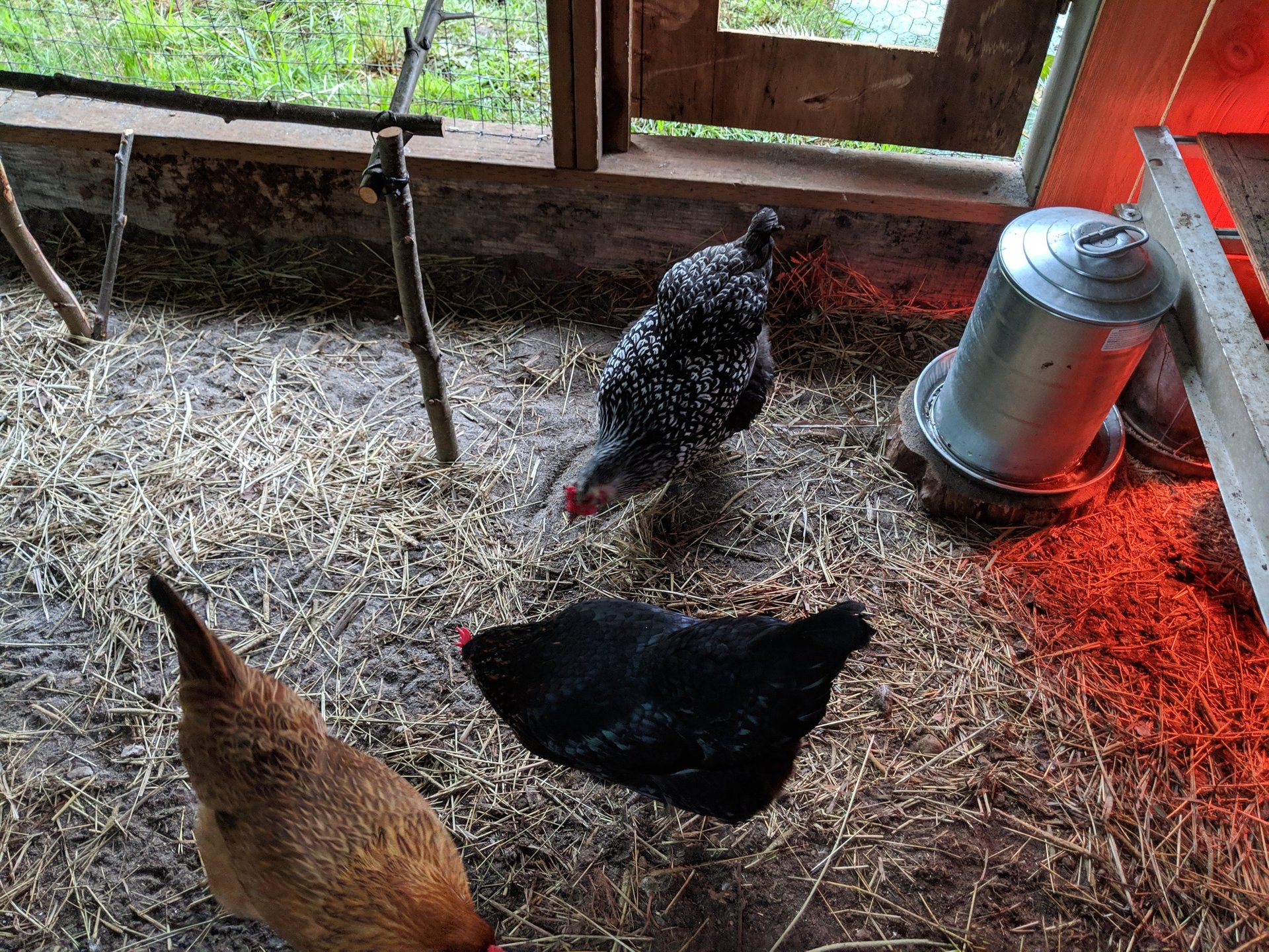 woman wearing yellow long-sleeved dress under white clouds and blue sky during daytime