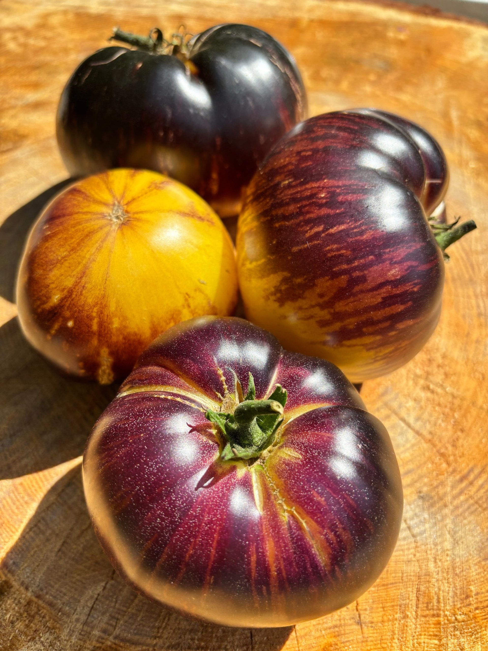 Solar Eclipse’ tomatoes, showing ripe, round tomatoes with deep purple skin and golden blossom end.