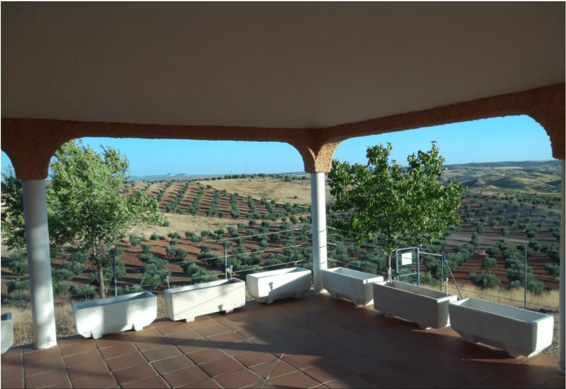 Vista parcela terraza