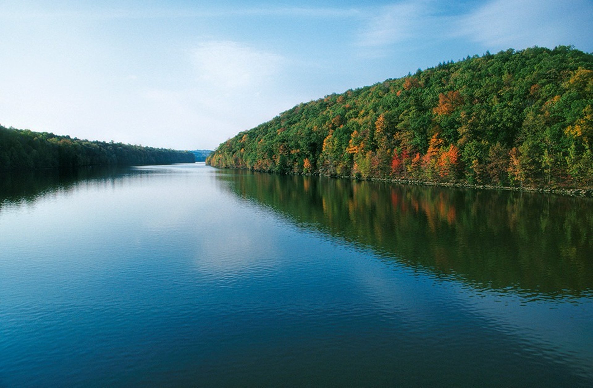 yellow sunflower field during daytime