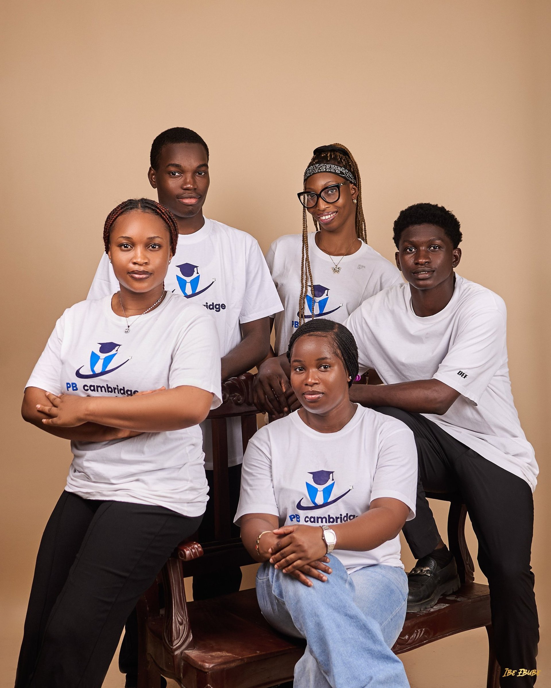 black and brown leather padded tub sofa