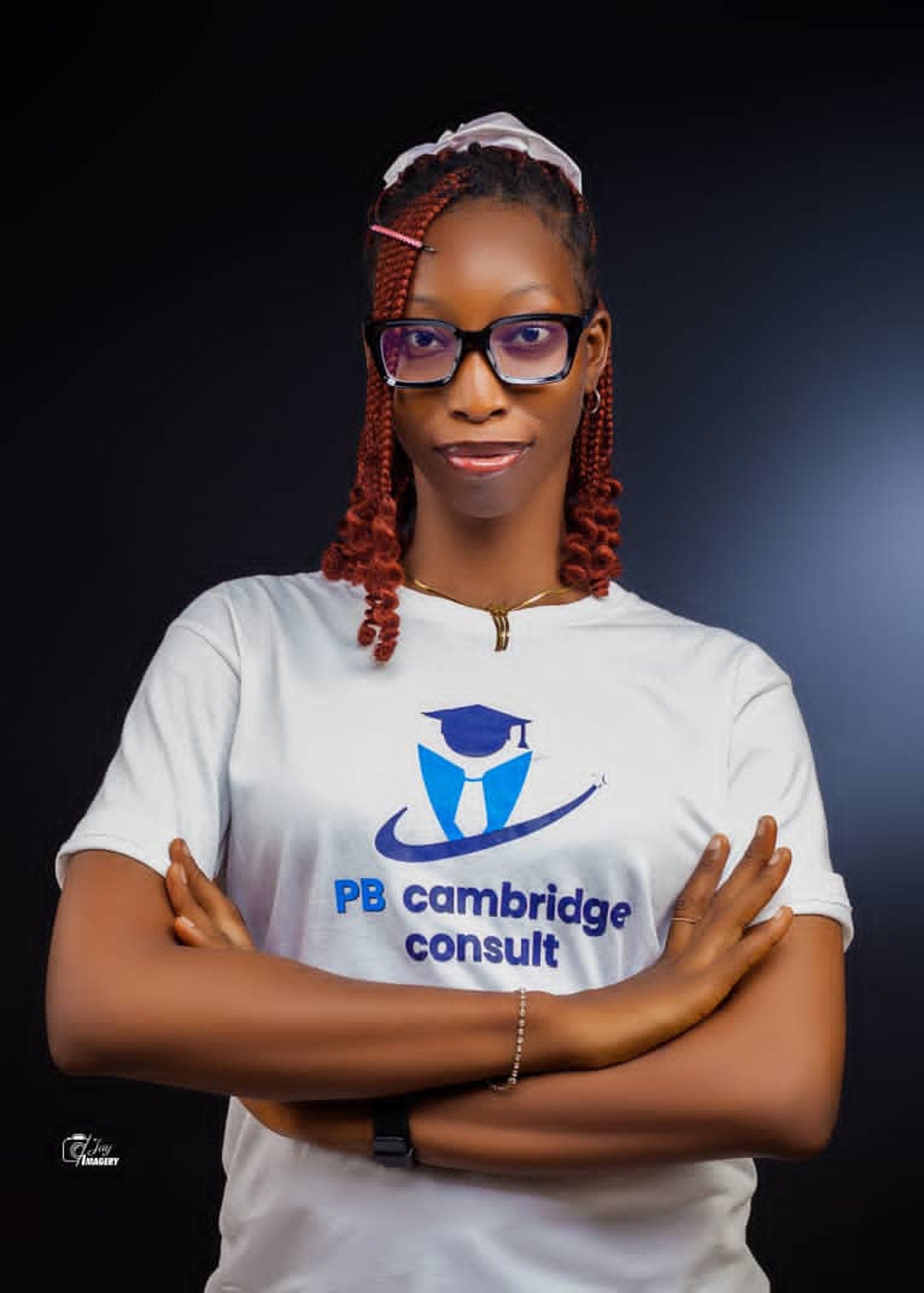 black and brown leather padded tub sofa