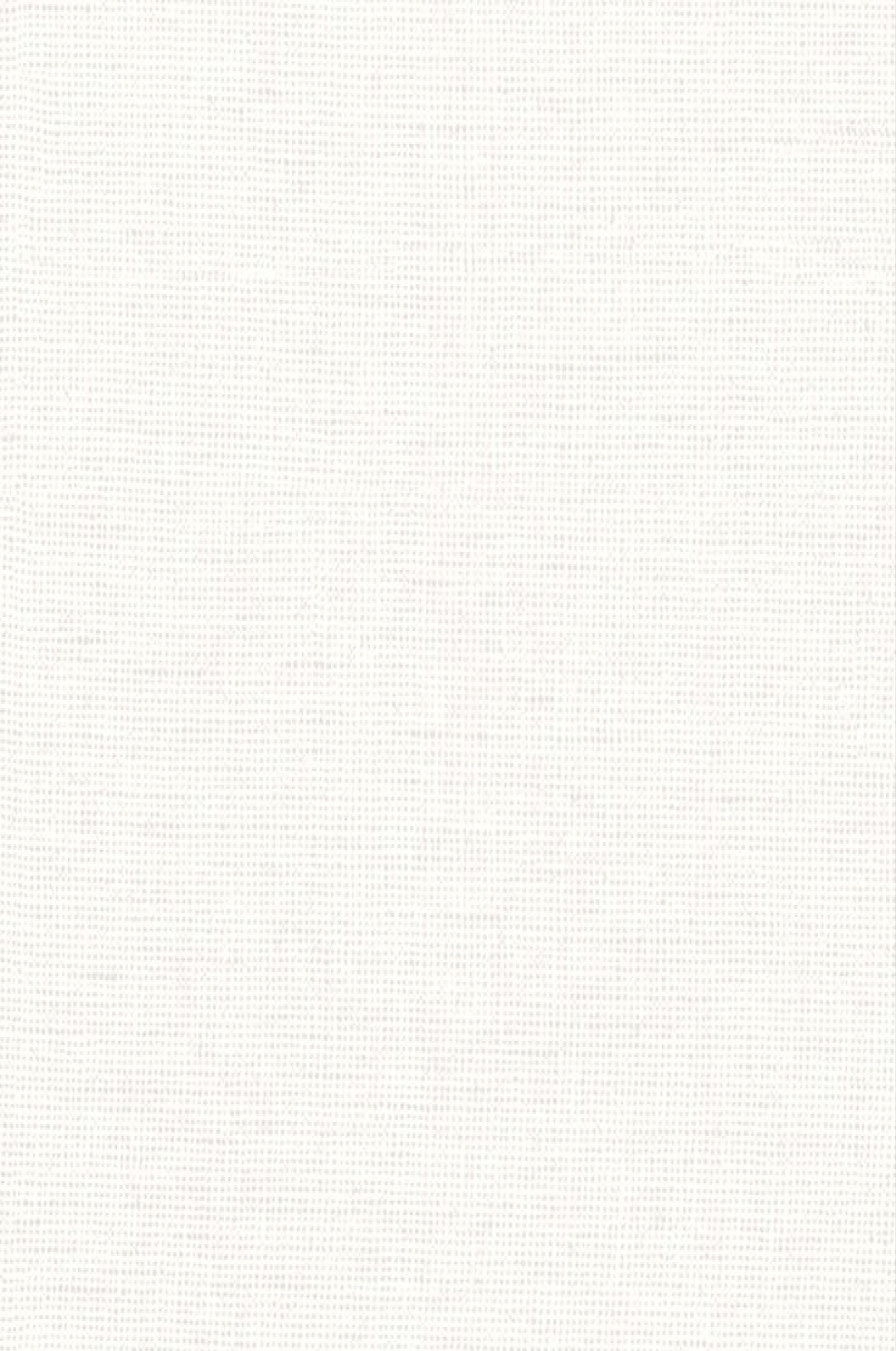 white wall paint with black line