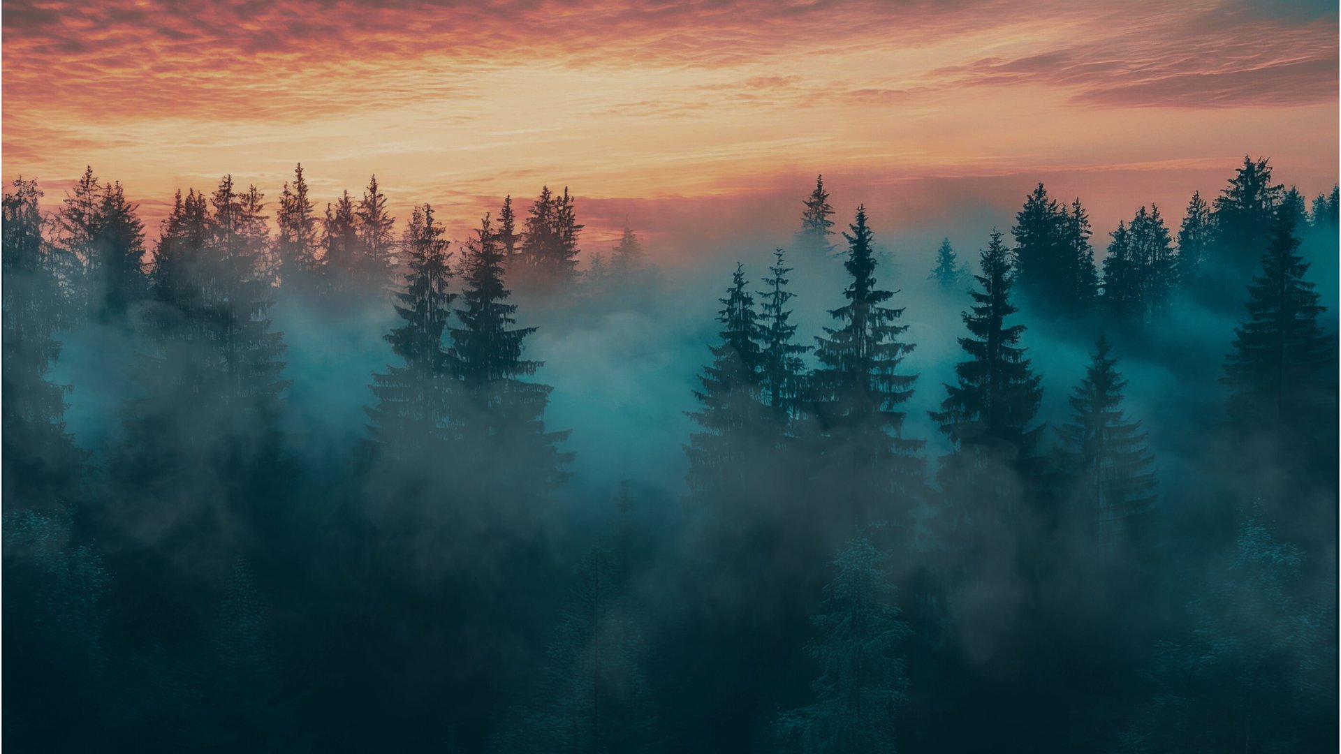 green leafed pine trees