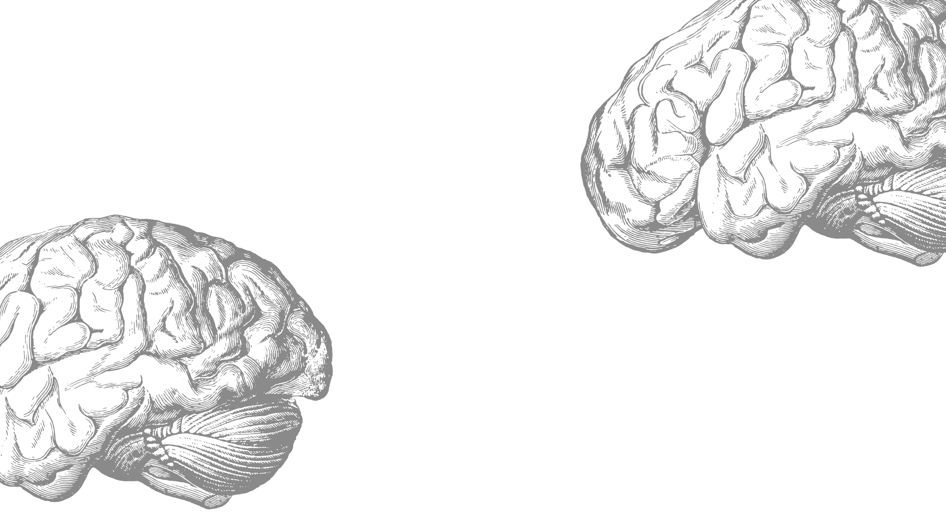 woman in white and brown dress standing on green grass during night time