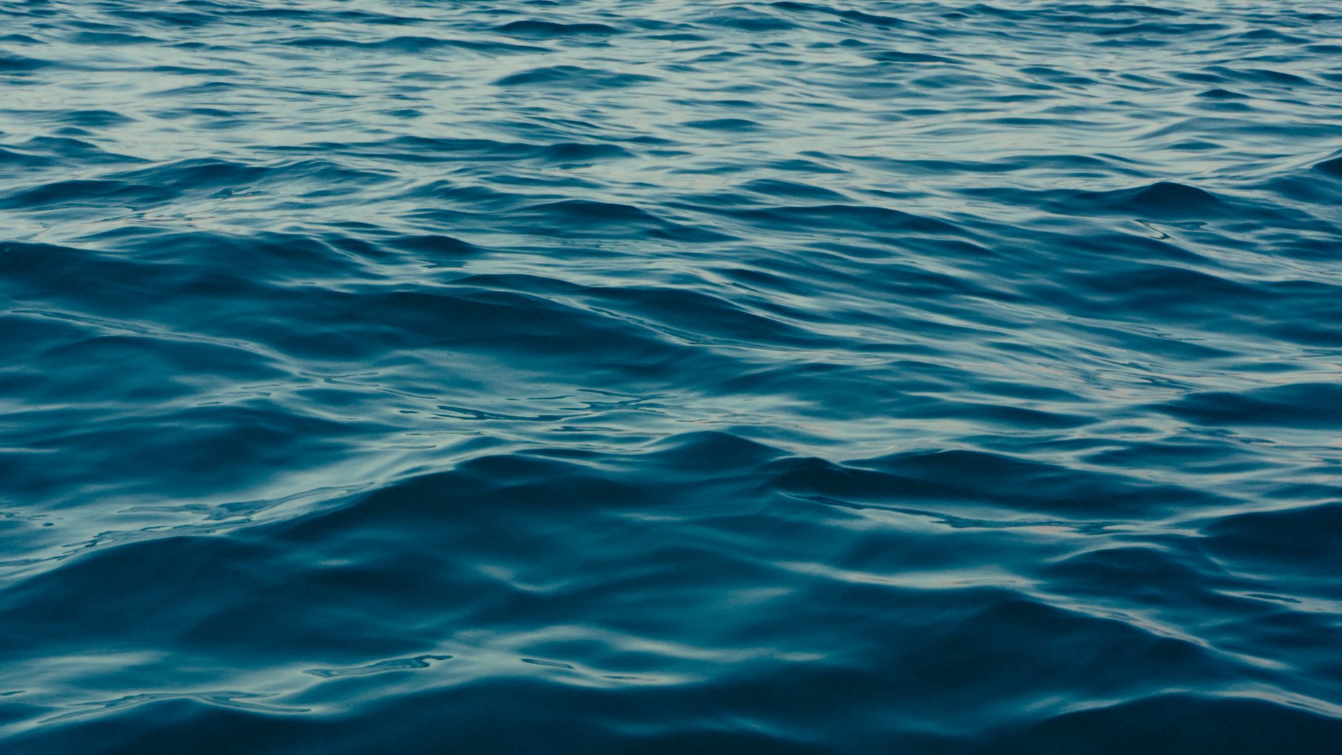 an abstract photo of a curved building with a blue sky in the background