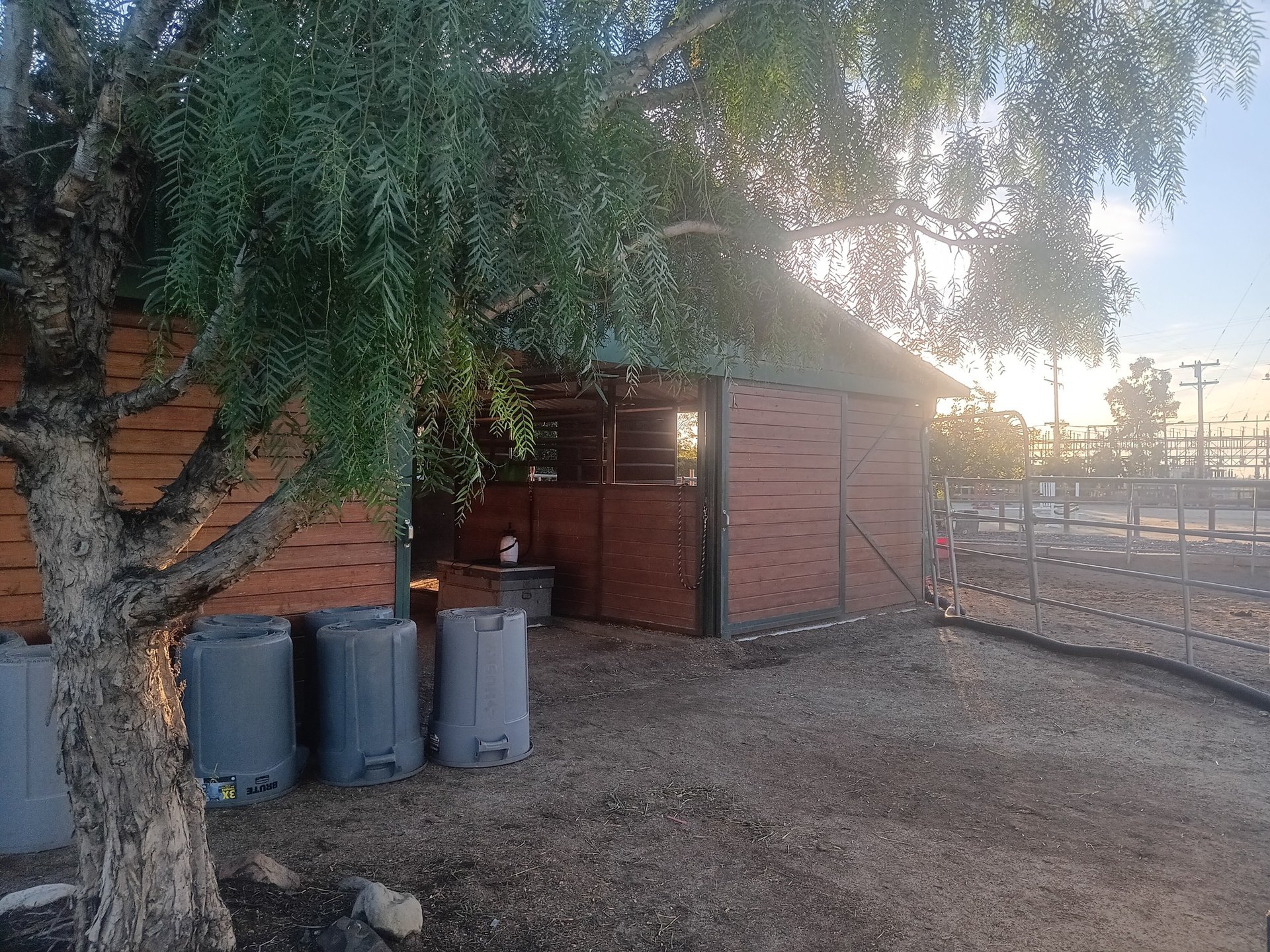 black and brown leather padded tub sofa