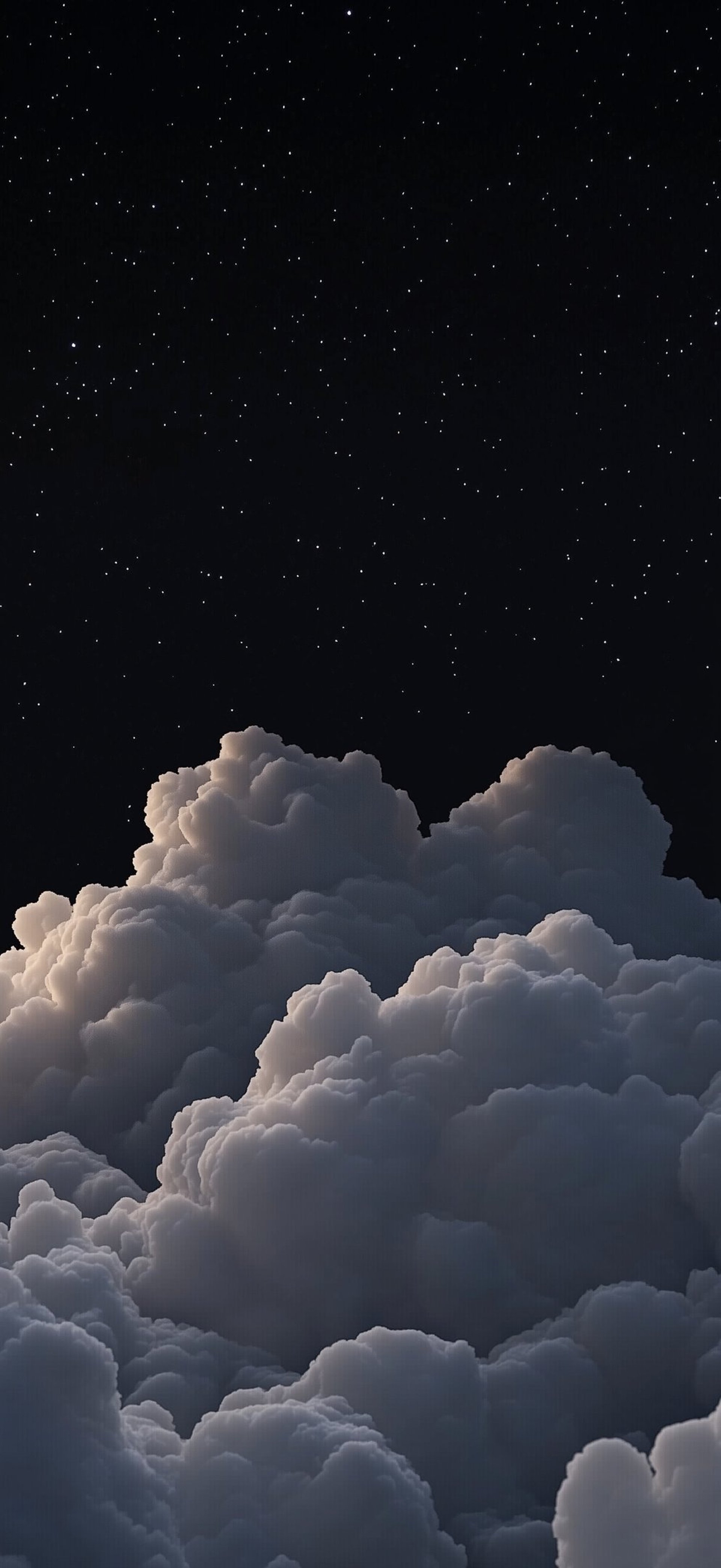 a bunch of leaves that are on a wall