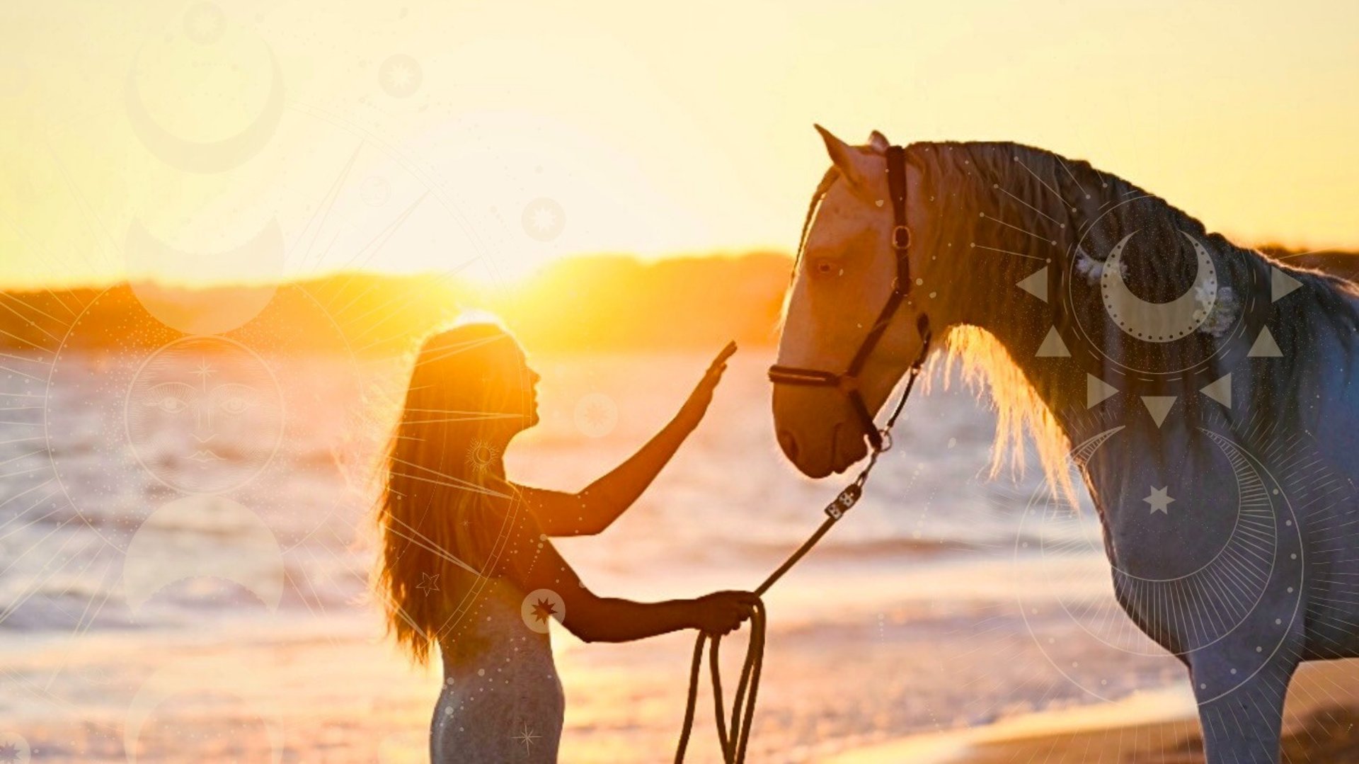 black and brown leather padded tub sofa