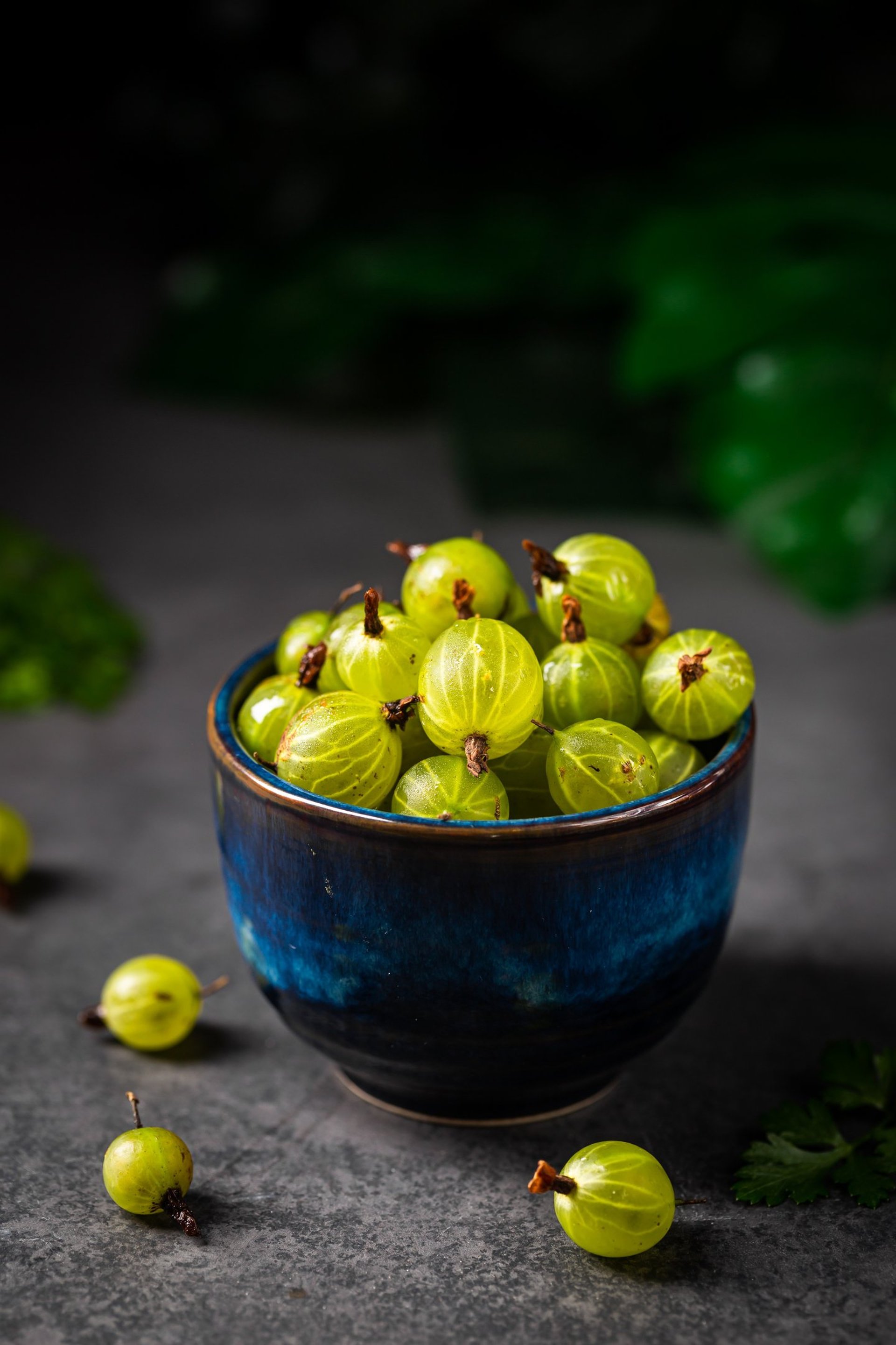A bunch of green berries hanging from a tree
