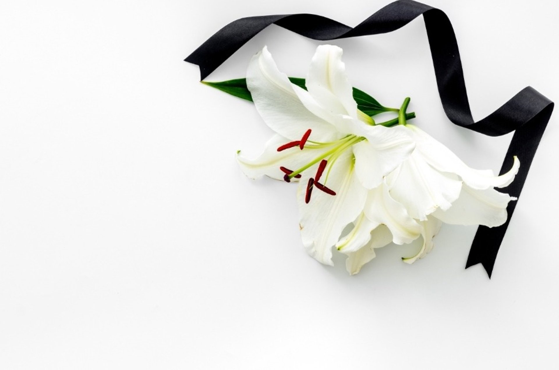 black and white bed linen