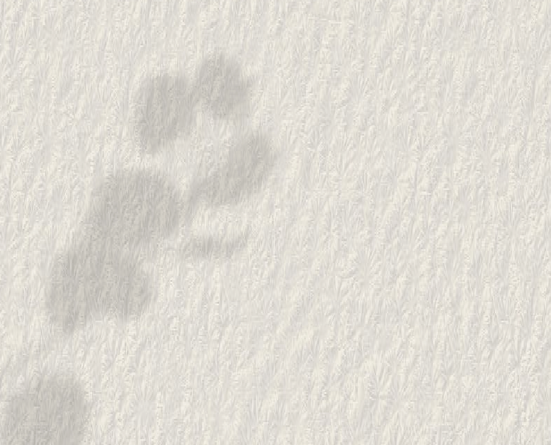 white wall paint with black line