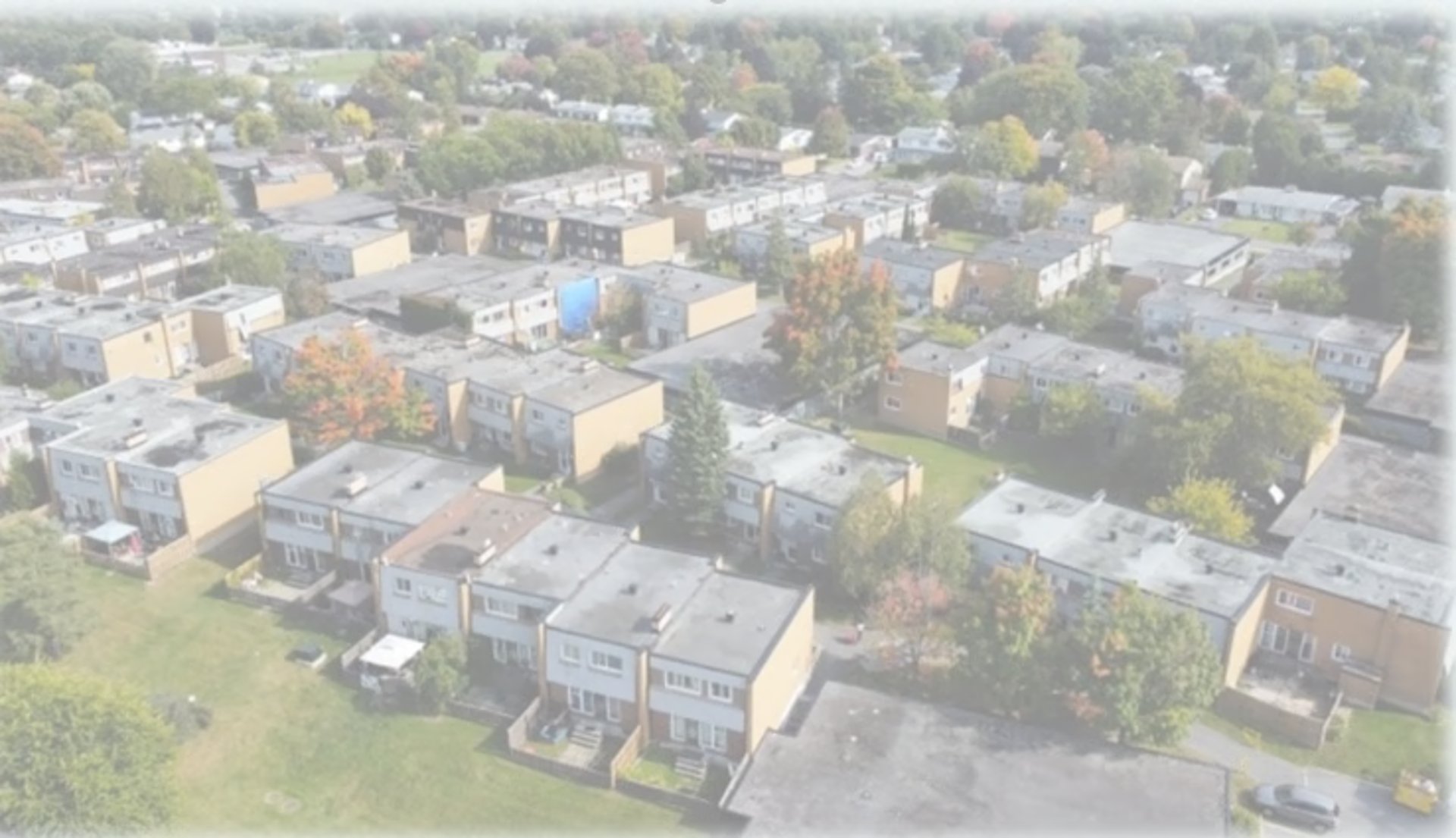 mold-removal-in-orleans-ontario