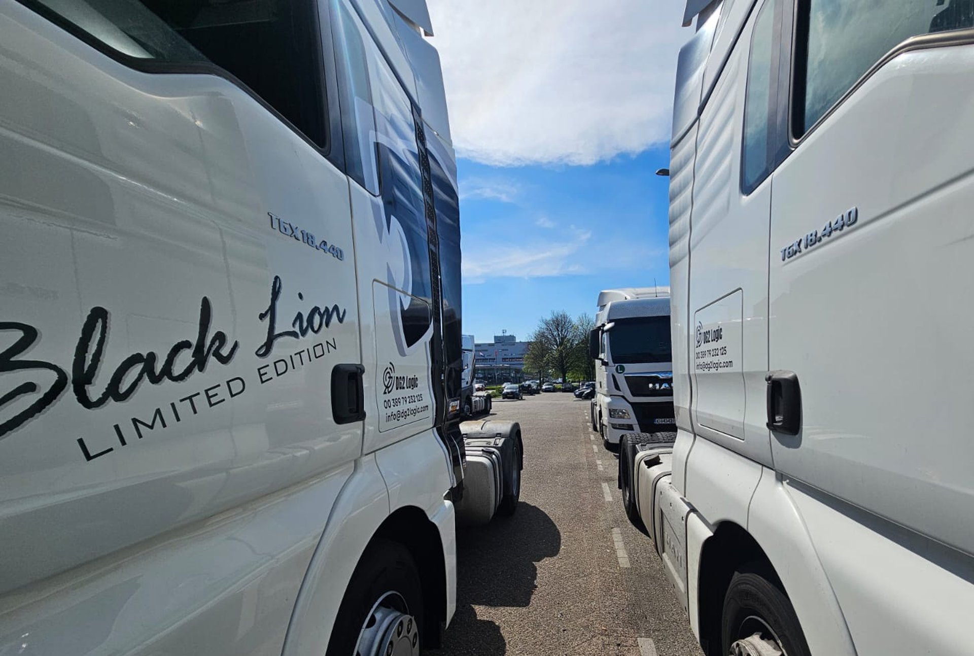 black and brown leather padded tub sofa