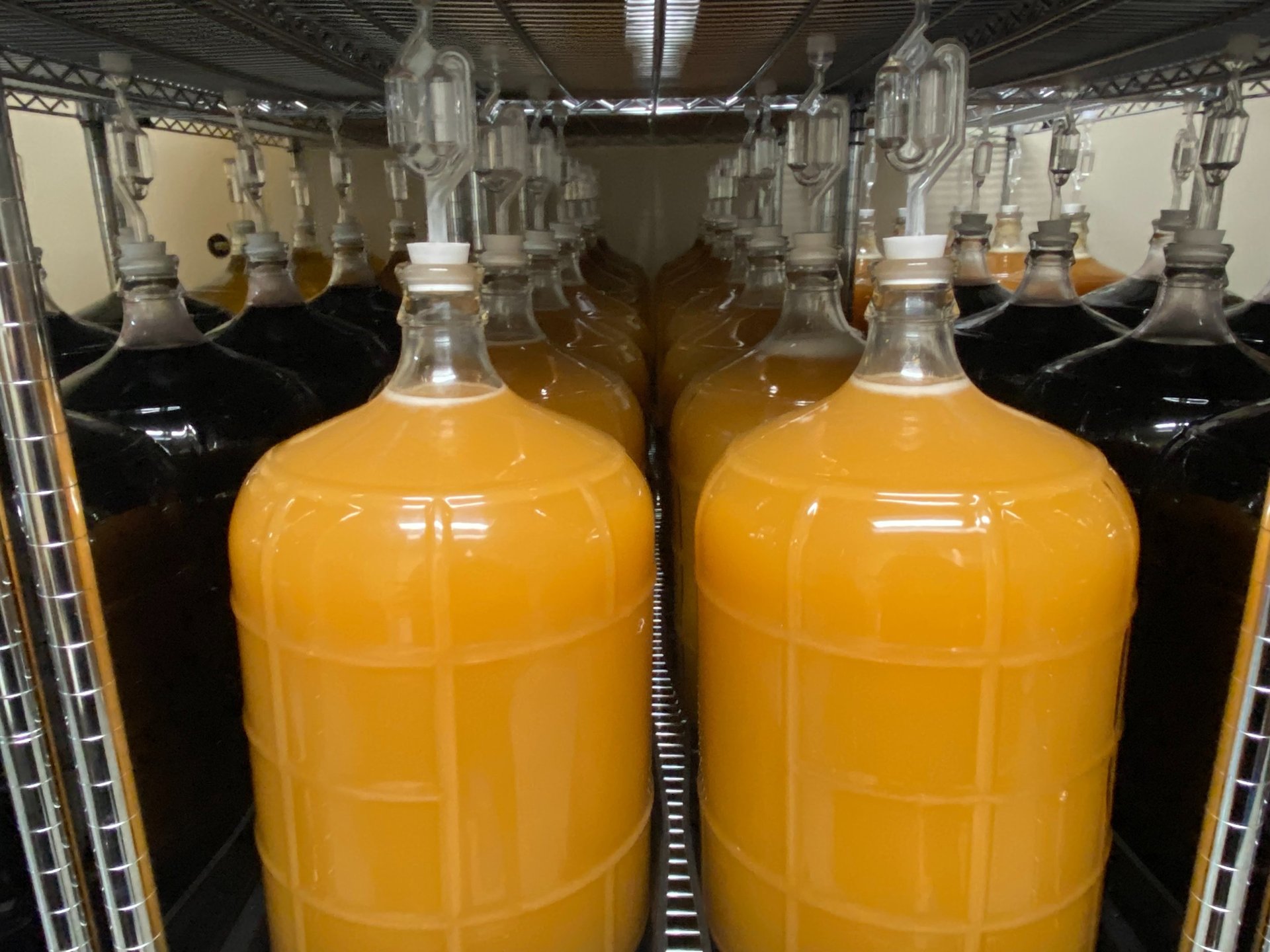 organic natural wine