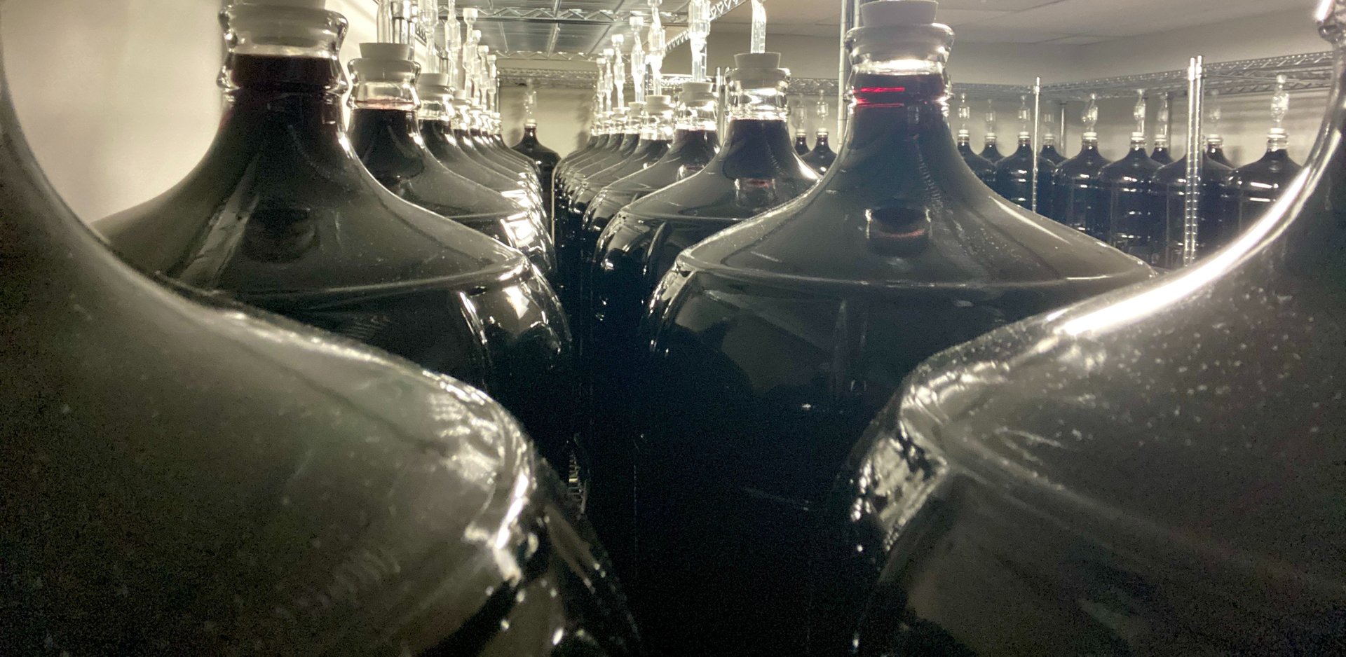 organic natural wine