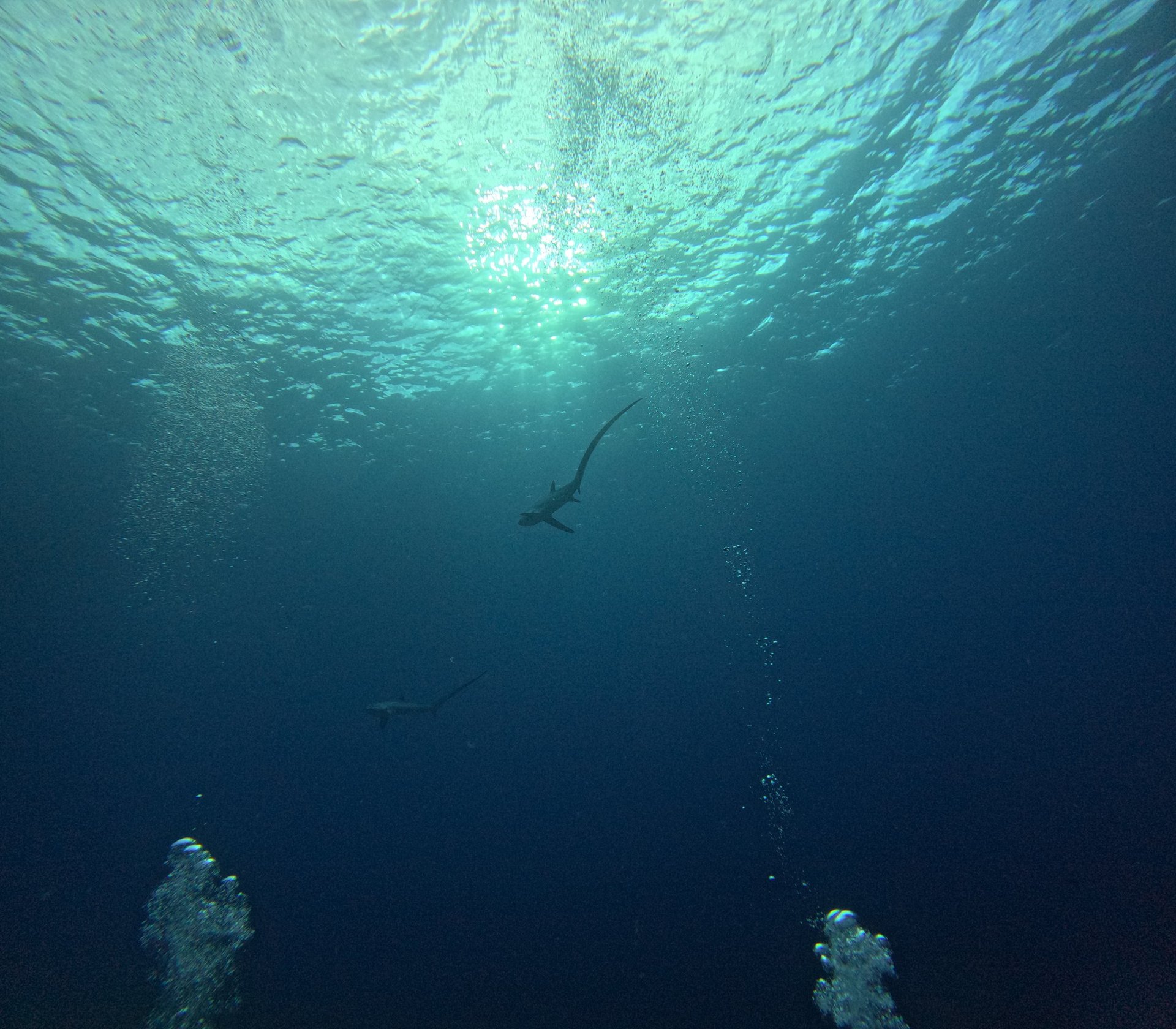 clear blue body of water