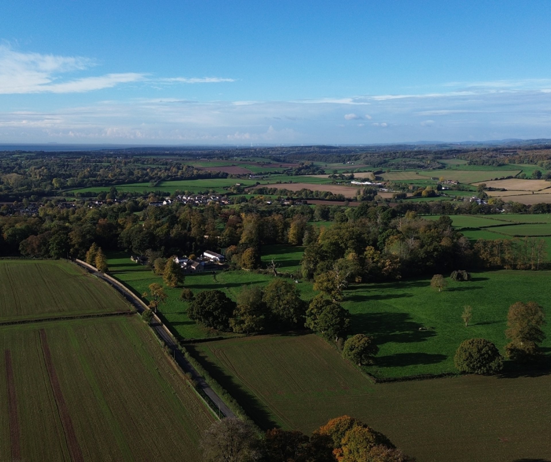 black blue and yellow textile