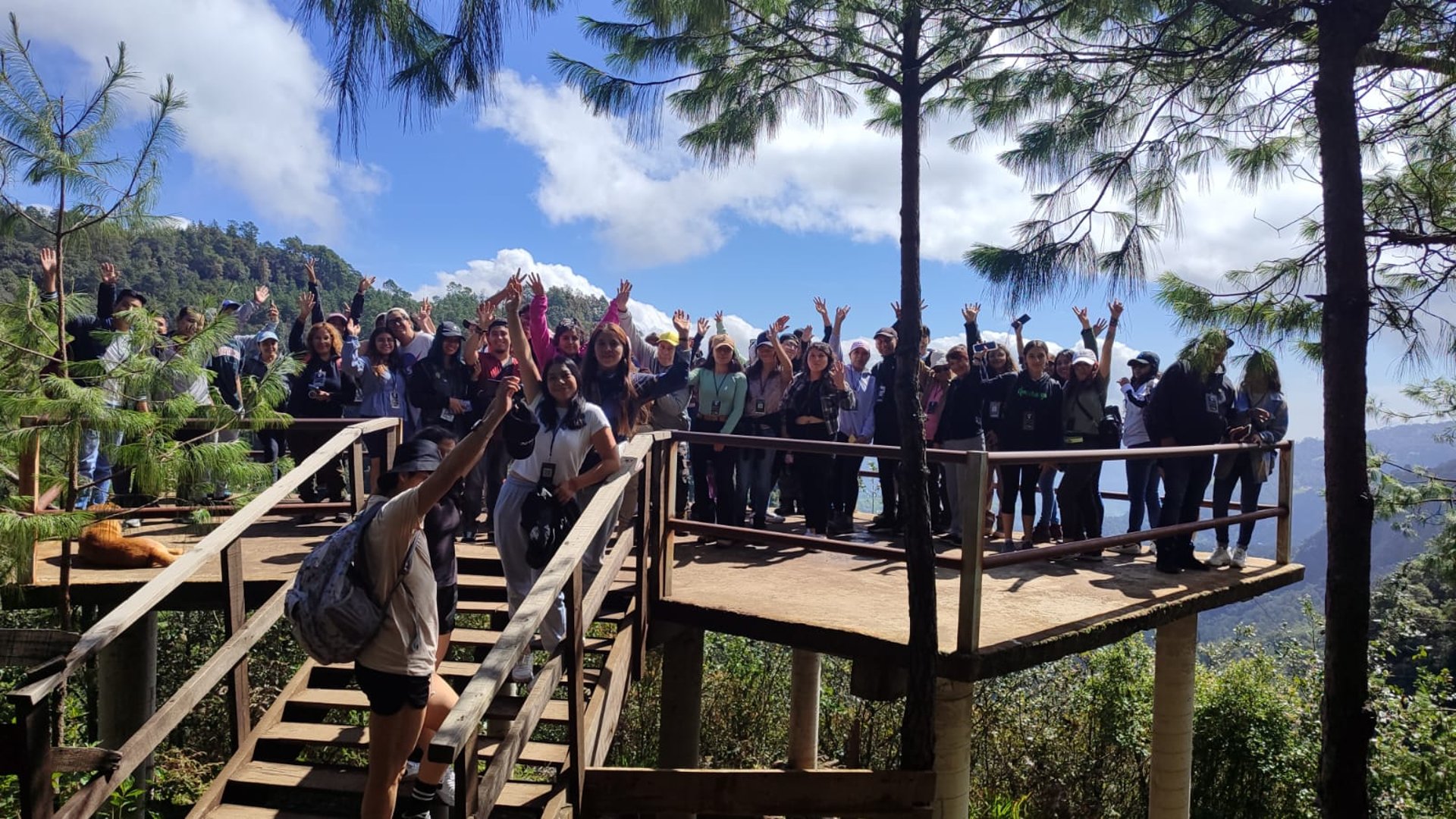 woman holding dried flower