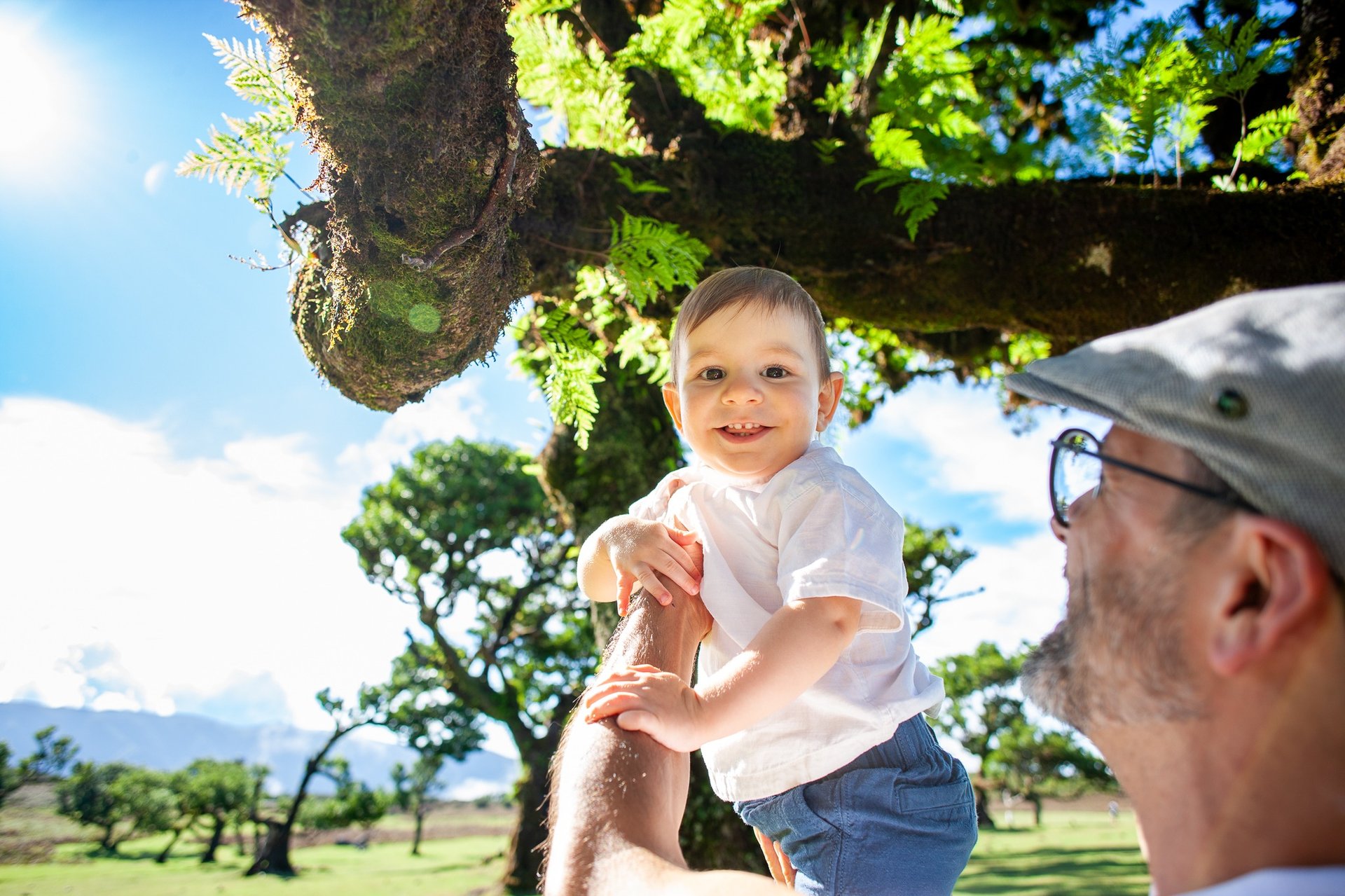 Father lifts his toddler towards sunlight under fern-covered laurel tree in Fanal Forest, Madeira, lifestyle family moment.
