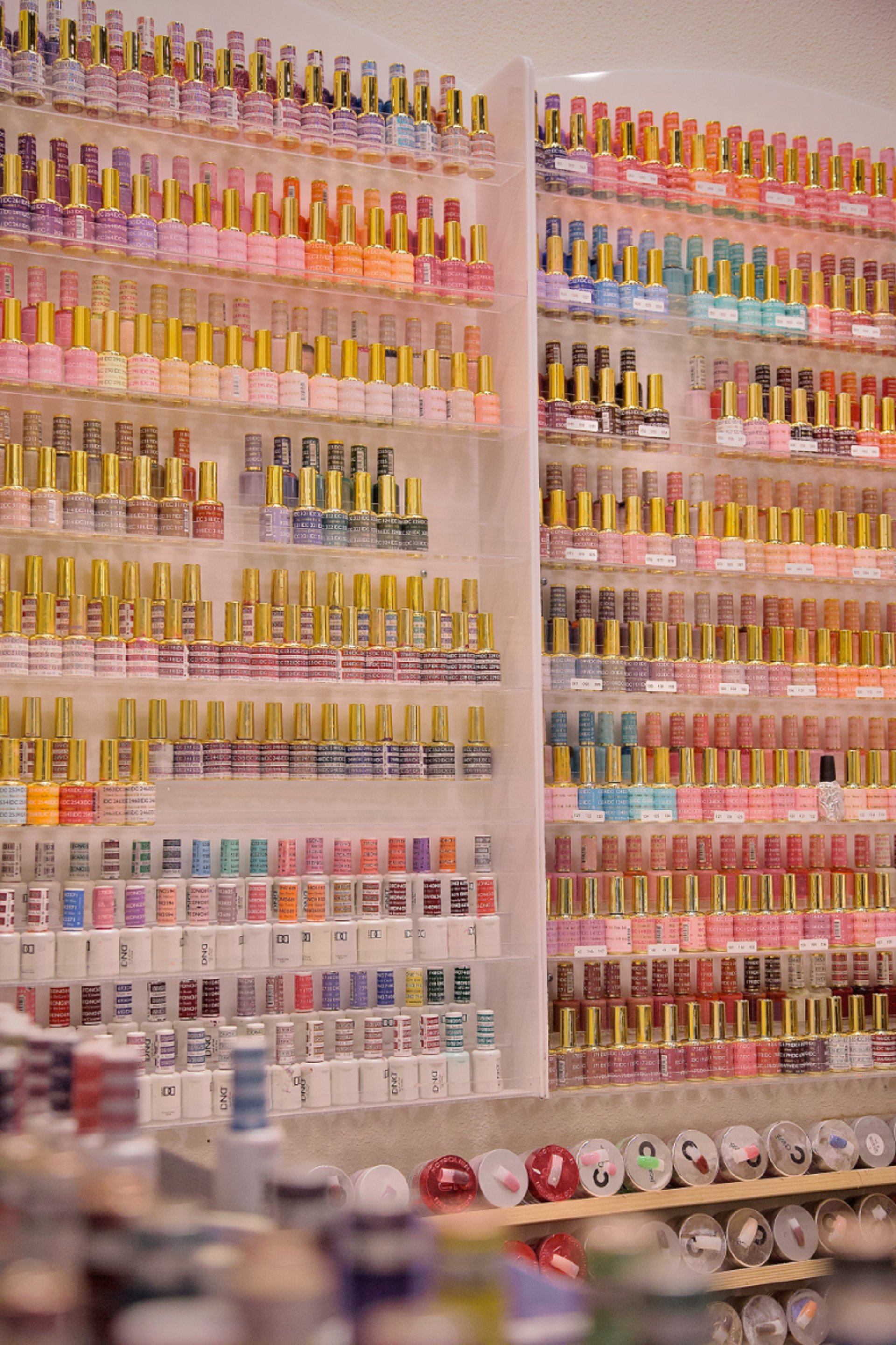 a bench in a room with a lot of shelves