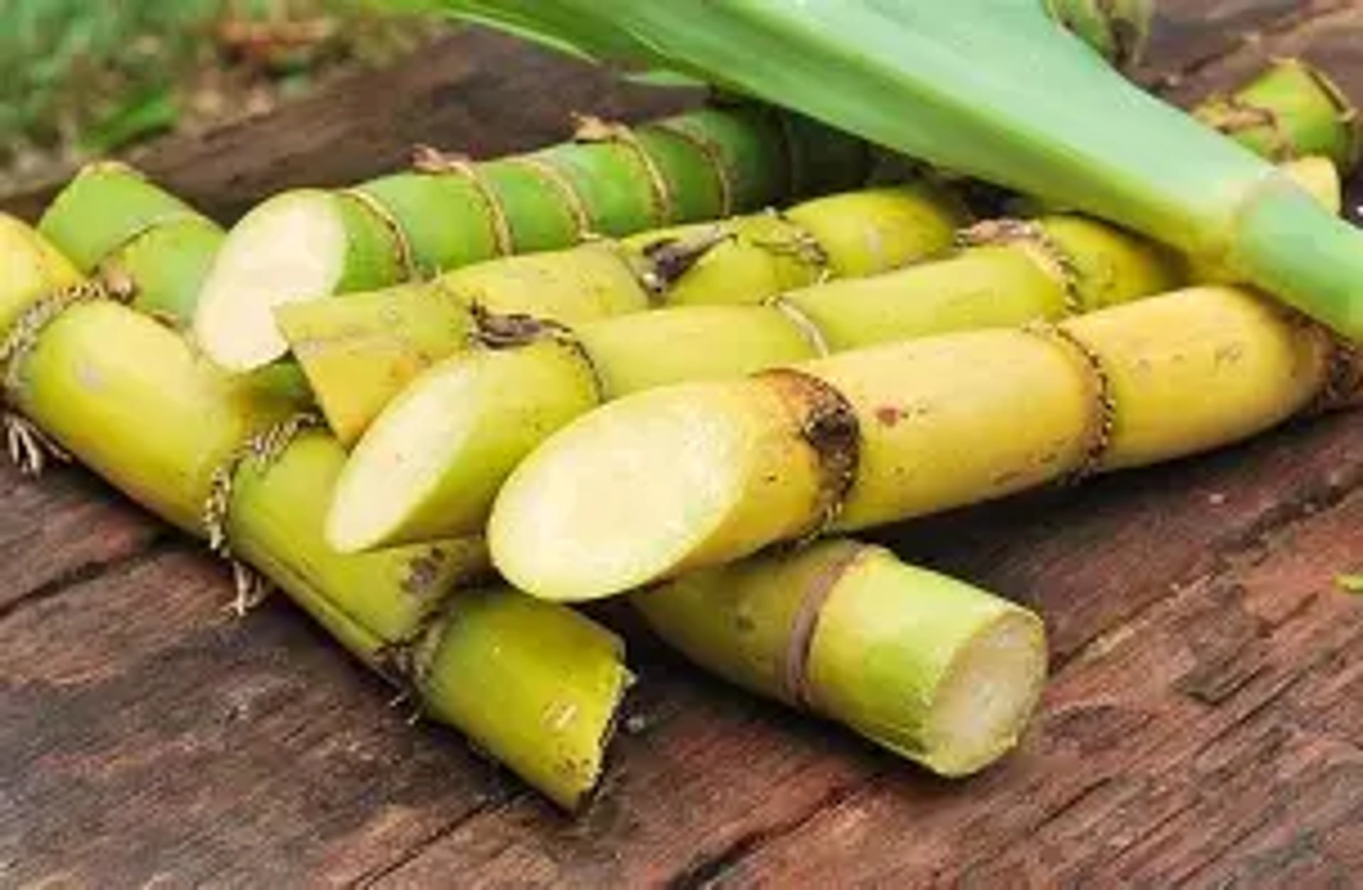 woman wearing yellow long-sleeved dress under white clouds and blue sky during daytime