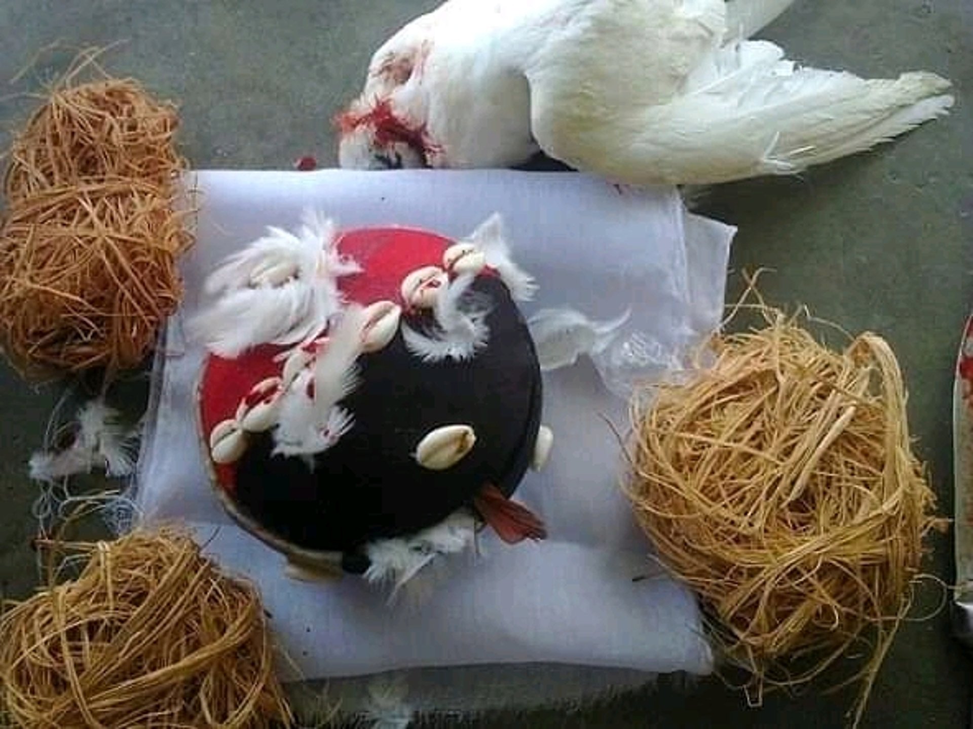 woman wearing yellow long-sleeved dress under white clouds and blue sky during daytime
