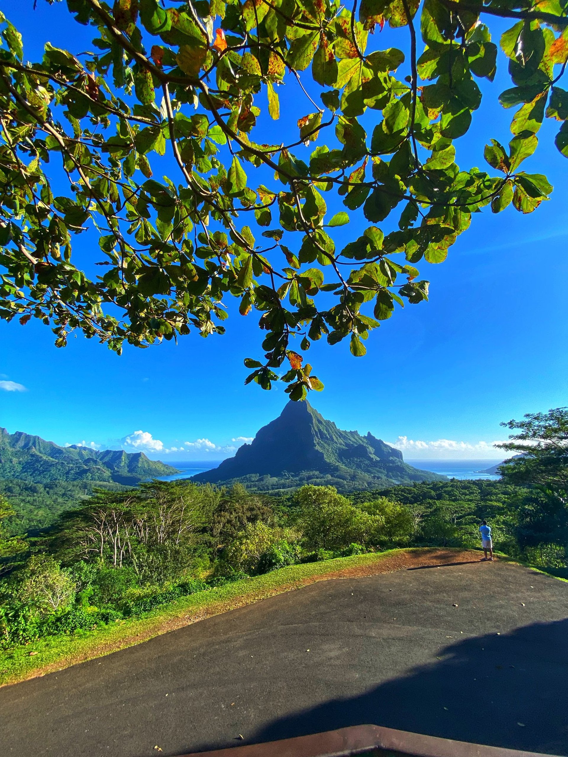 an abstract photo of a curved building with a blue sky in the background