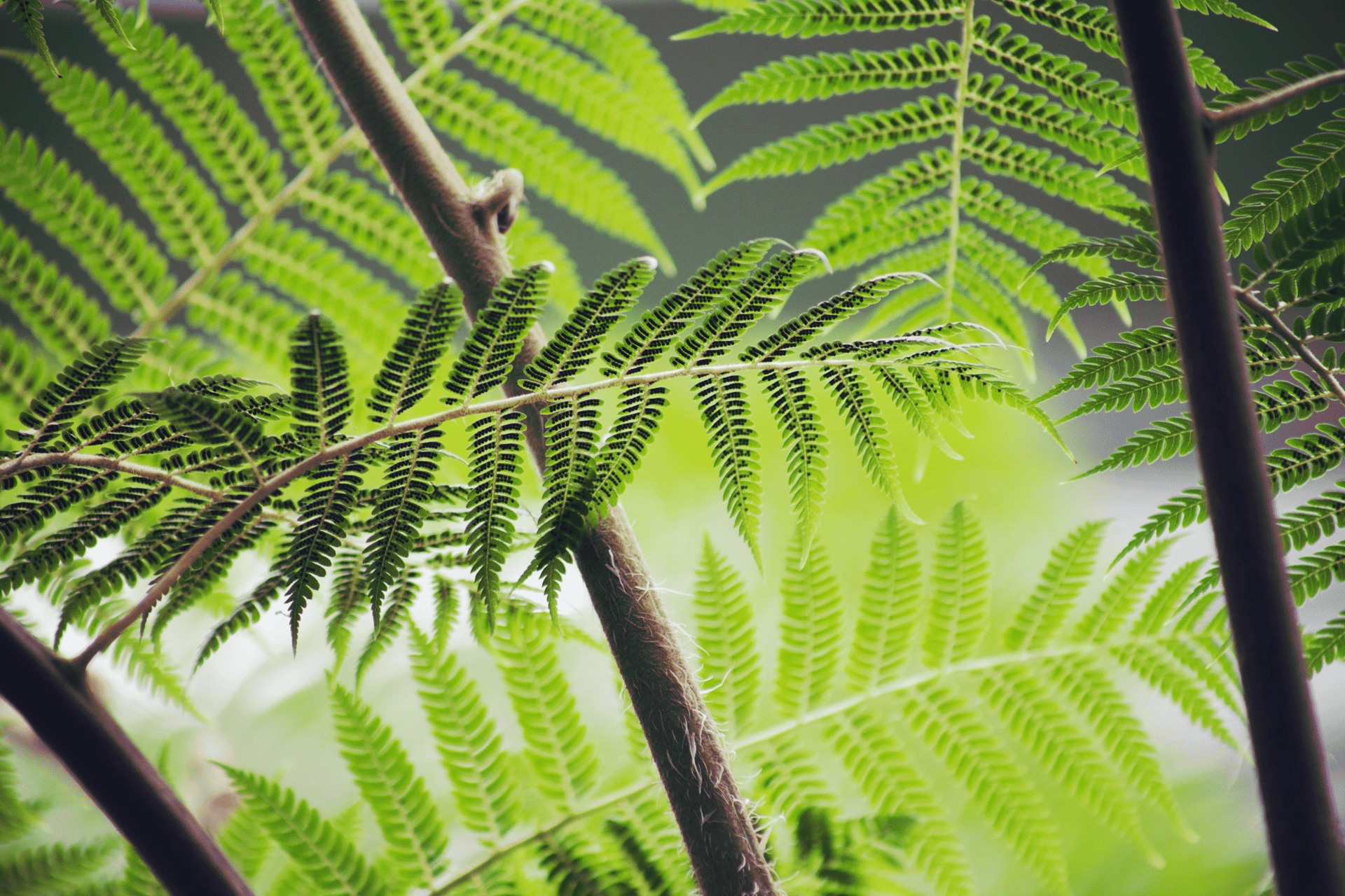 an abstract photo of a curved building with a blue sky in the background