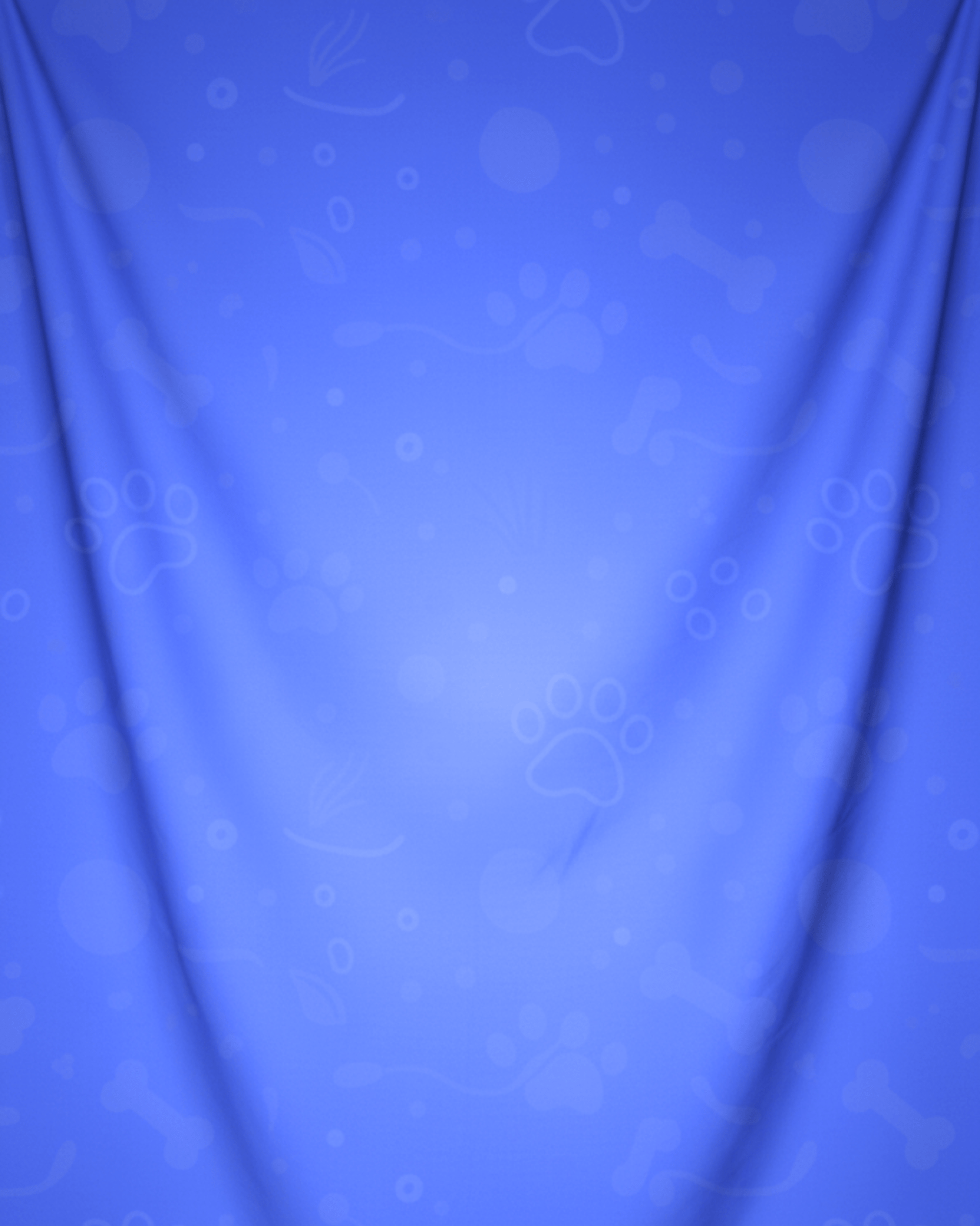 A large brown dog wearing a leather collar