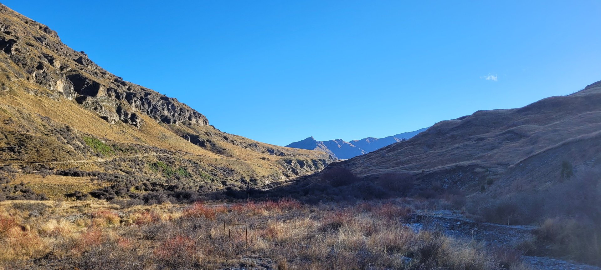 woman wearing yellow long-sleeved dress under white clouds and blue sky during daytime