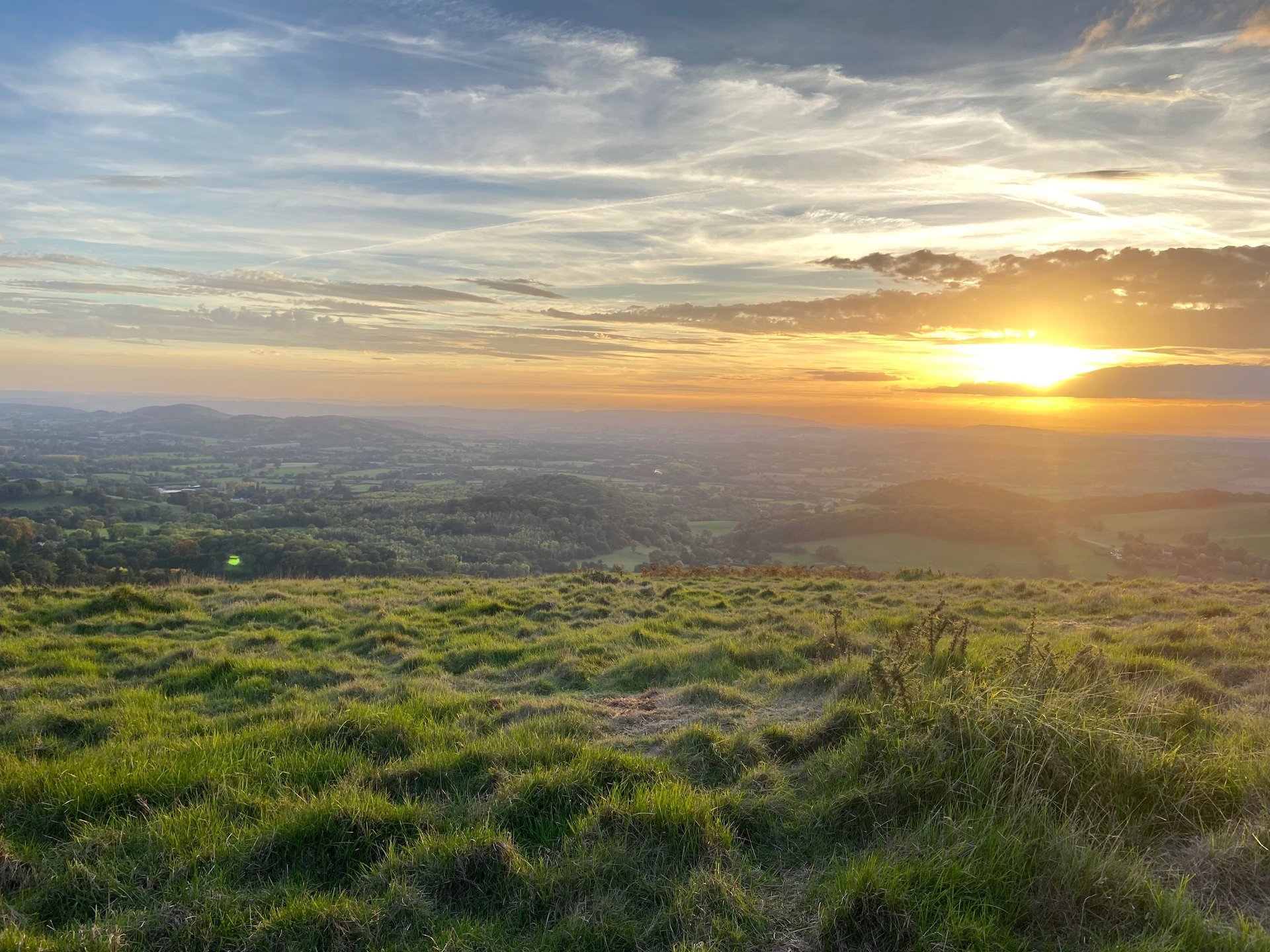 black and brown leather padded tub sofa