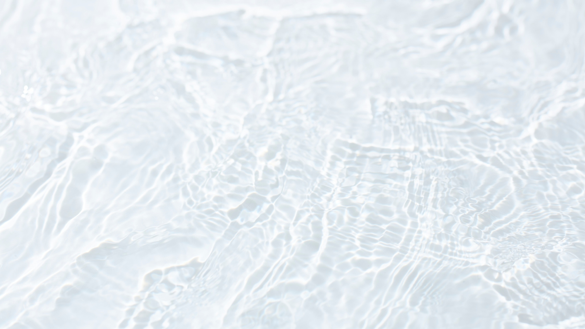 white and yellow flower on water