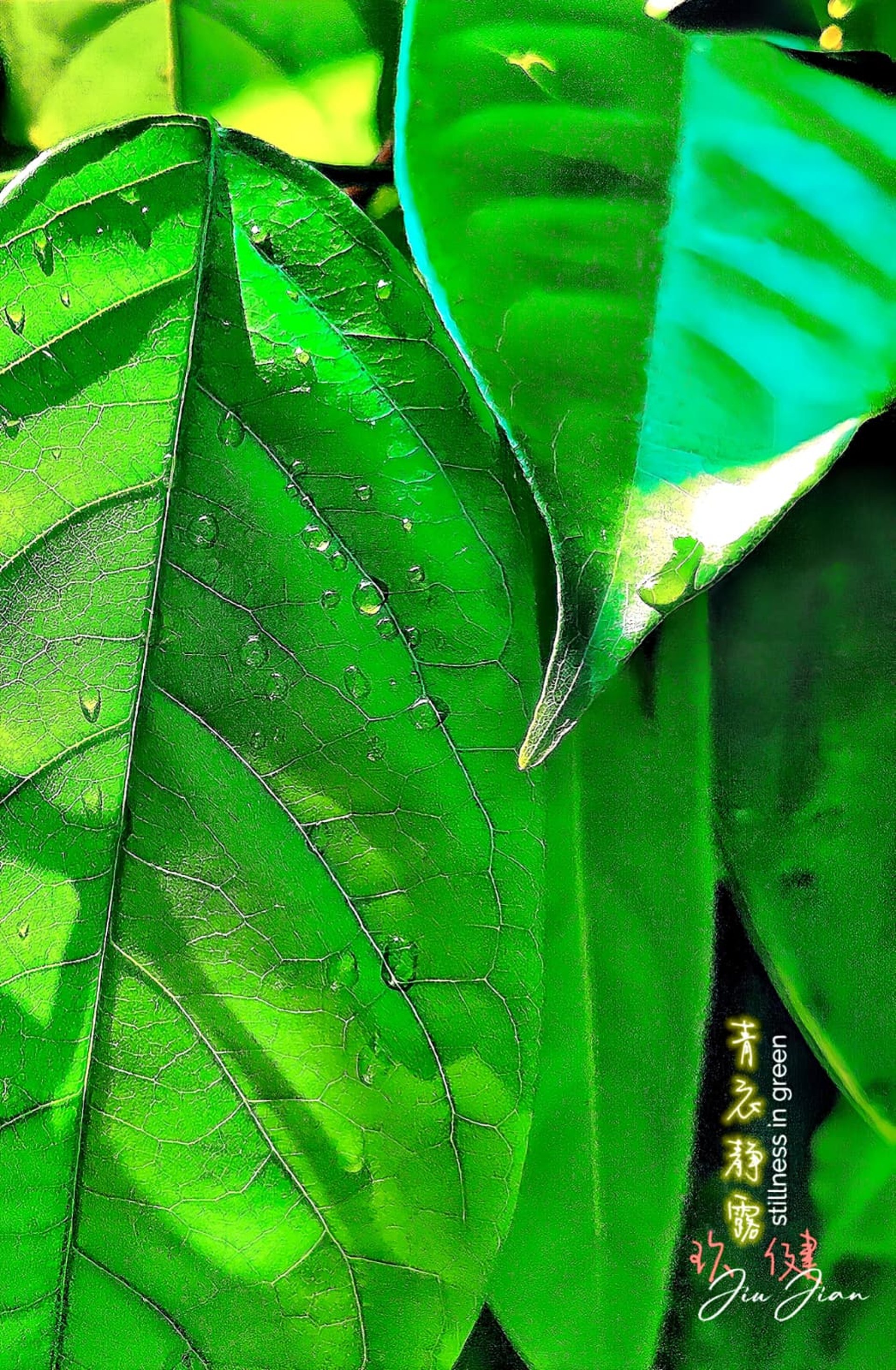 gray computer monitor