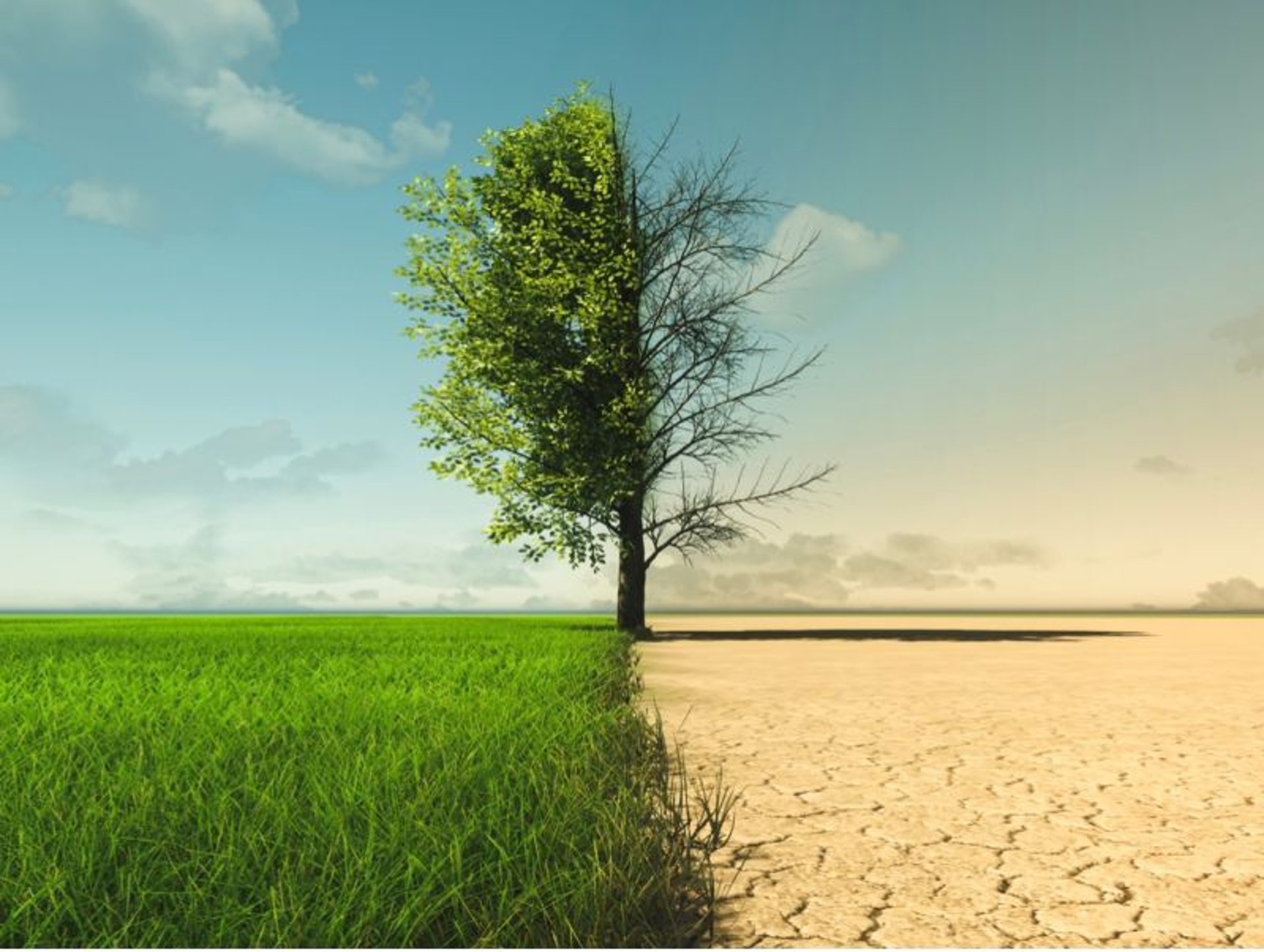 an open notebook sitting on top of a wooden desk