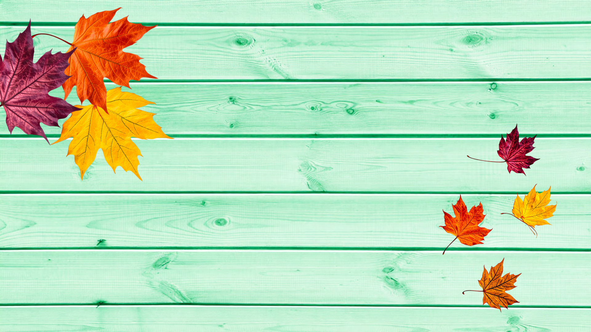 star sequins on white platform