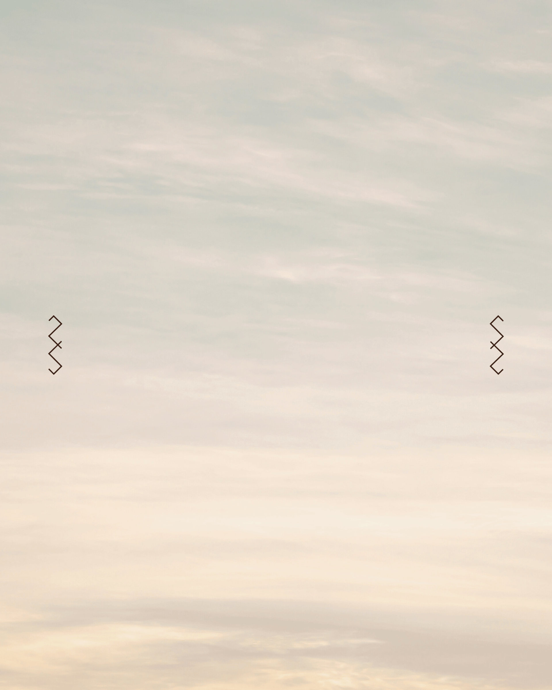 A plane is flying high in the sky