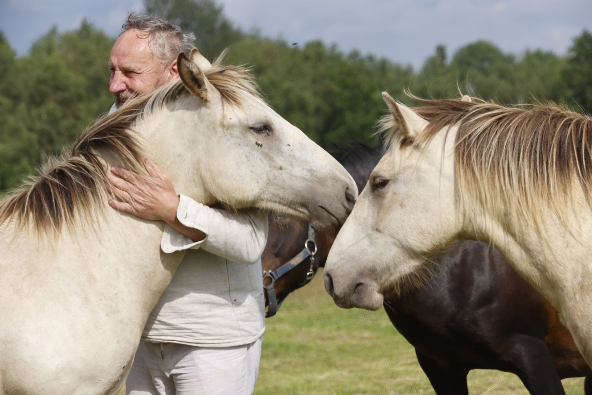 an abstract photo of a curved building with a blue sky in the background