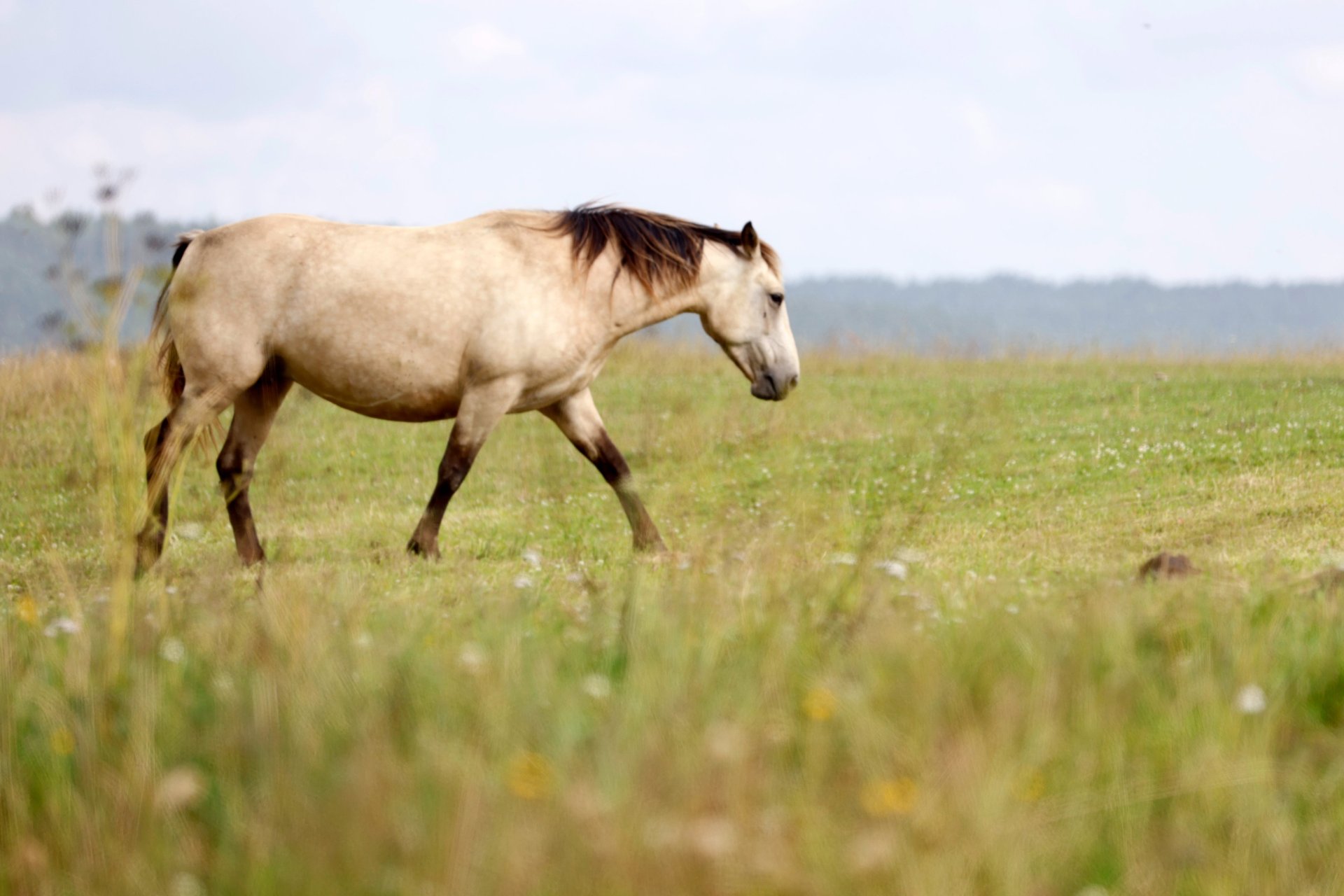 black blue and yellow textile