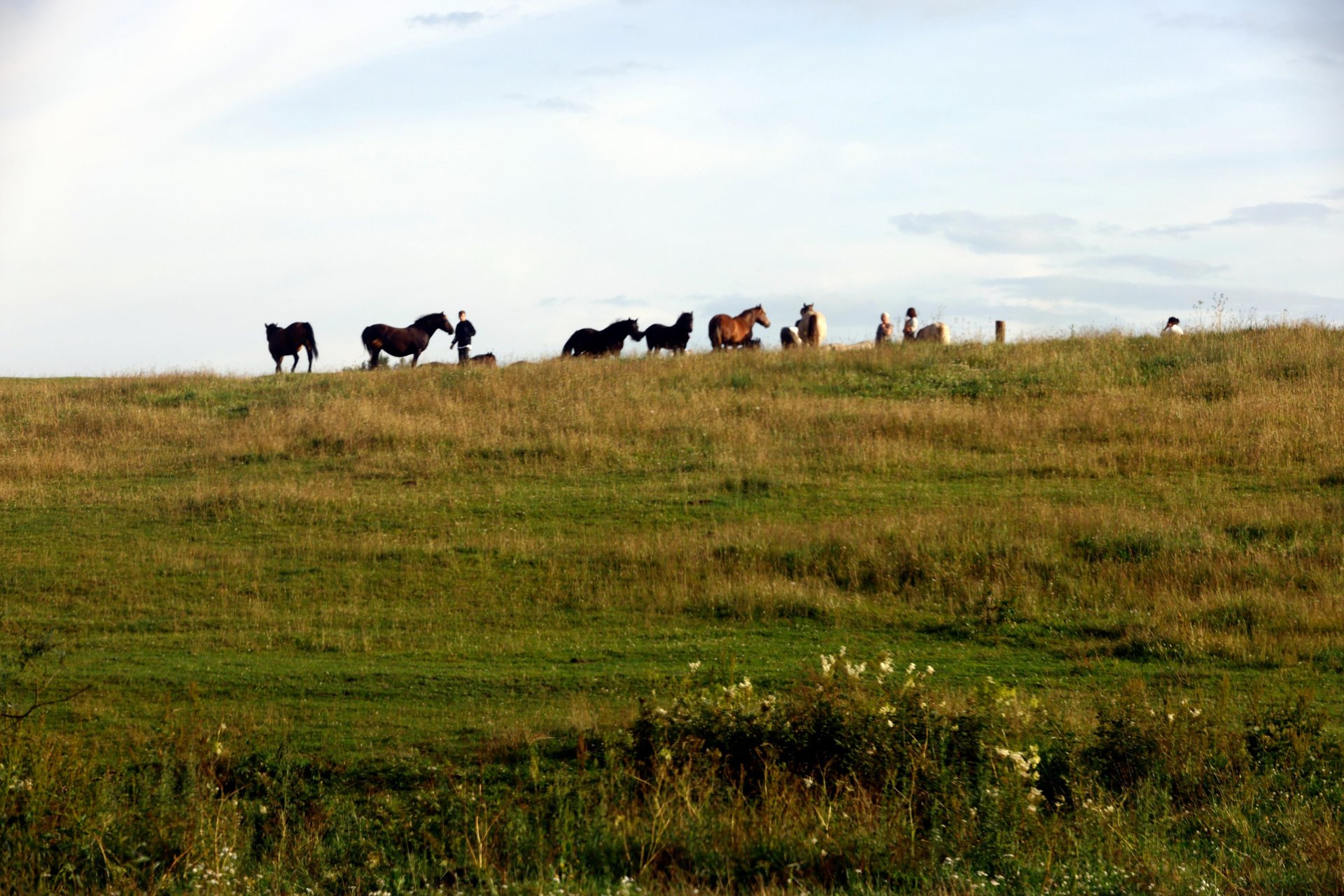 black blue and yellow textile