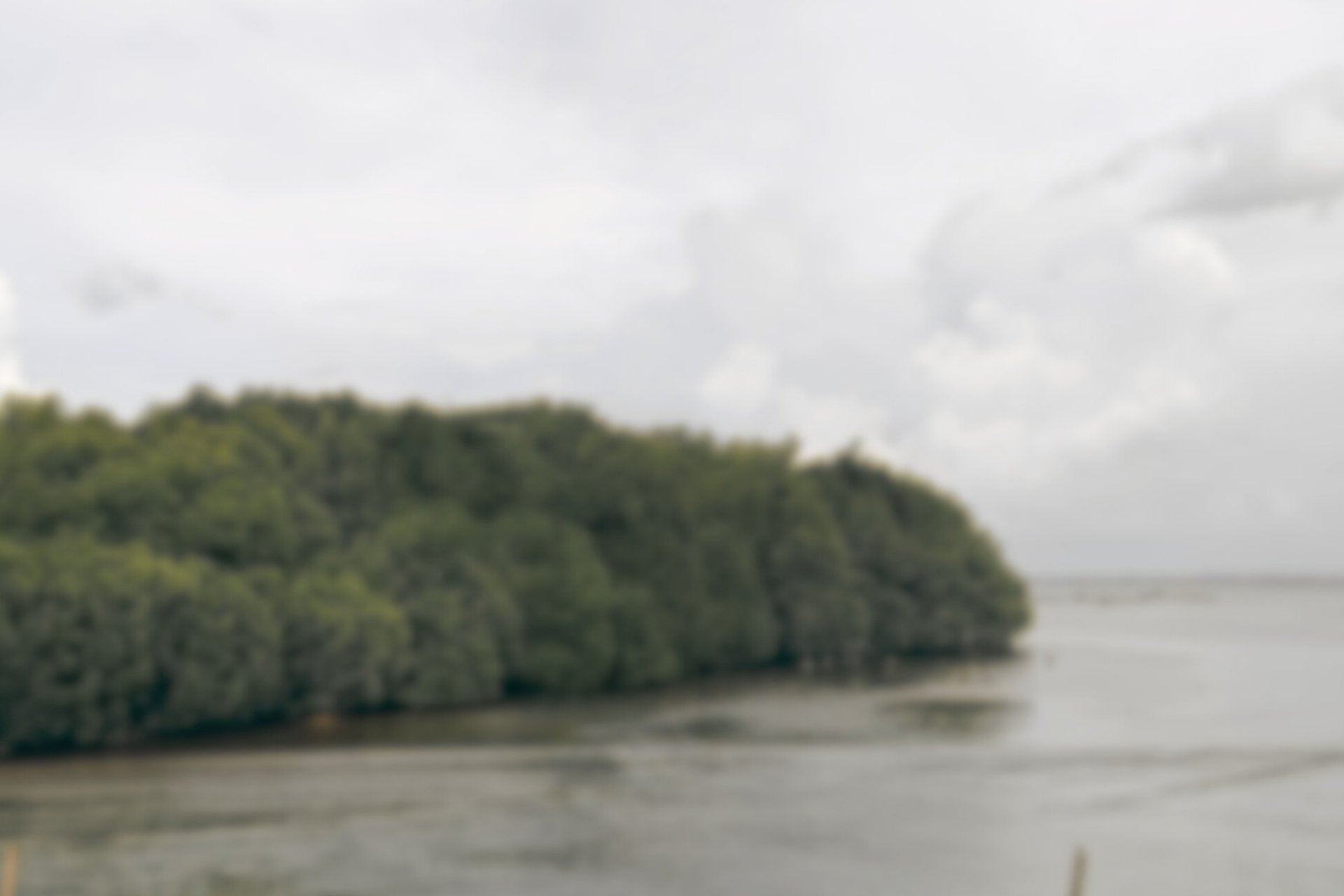 black and brown leather padded tub sofa